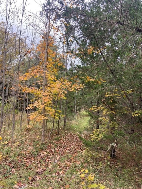 Photo 12 of PTLT25 County Road 4, Stone Mills — HOMEH
