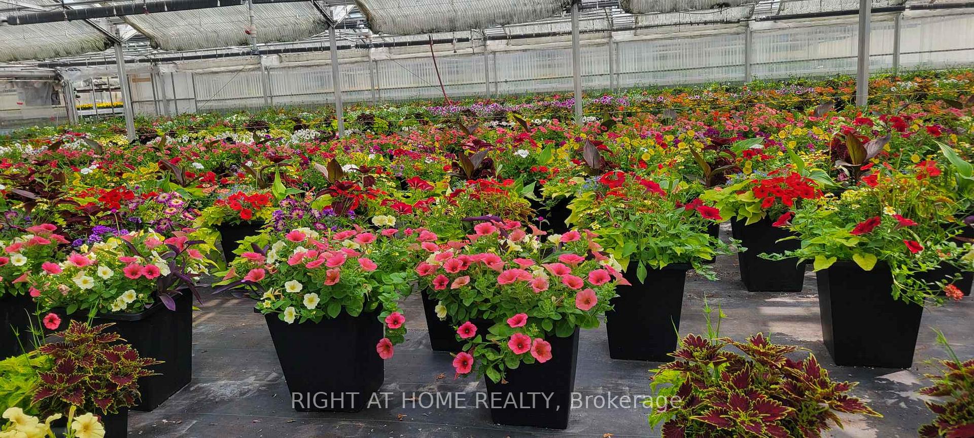 Photo 34 of 228,234 Read Road, St. Catharines, Port Weller — HOMEH