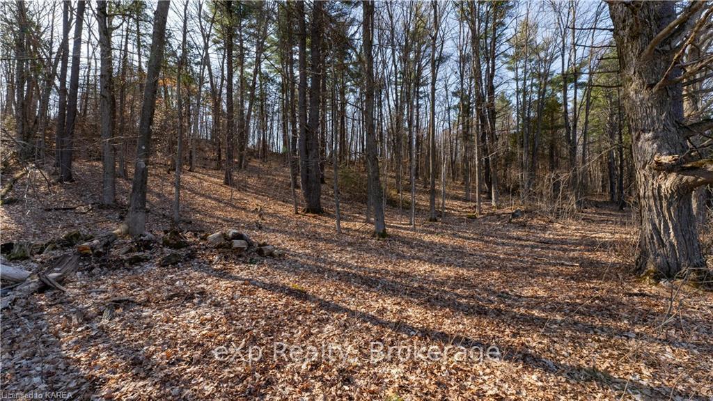 Photo 6 of PART 3 - 118 Moscow Road, Stone Mills — HOMEH
