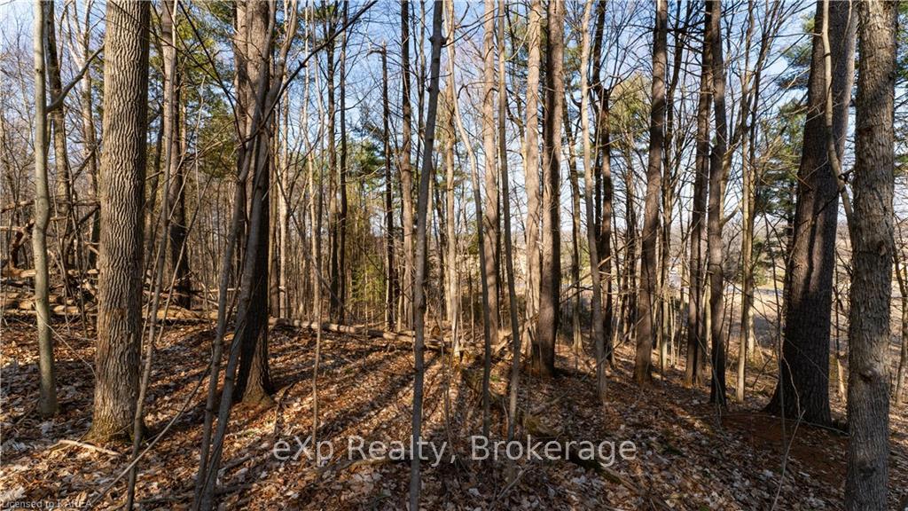 Photo 7 of PART 3 - 118 Moscow Road, Stone Mills — HOMEH