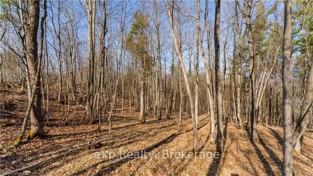 Photo 8 of PART 3 - 118 Moscow Road, Stone Mills — HOMEH