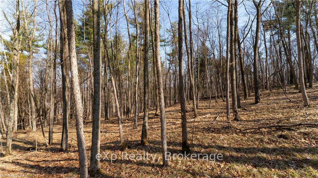 Photo 9 of PART 3 - 118 Moscow Road, Stone Mills — HOMEH