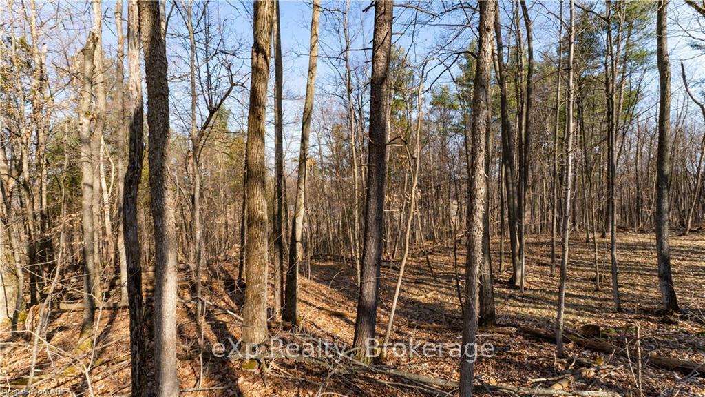 Photo 10 of PART 3 - 118 Moscow Road, Stone Mills — HOMEH