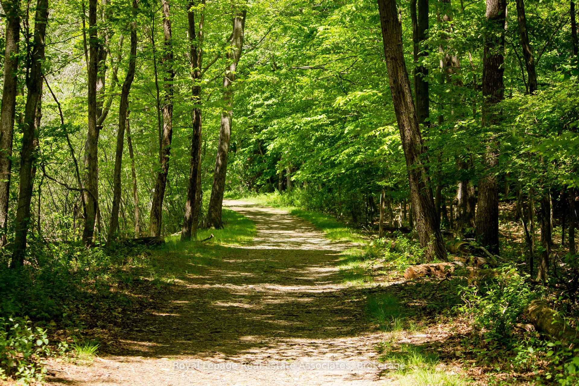 Photo 24 of 74 Moreau Parkway, Tiny, Rural Tiny — HOMEH