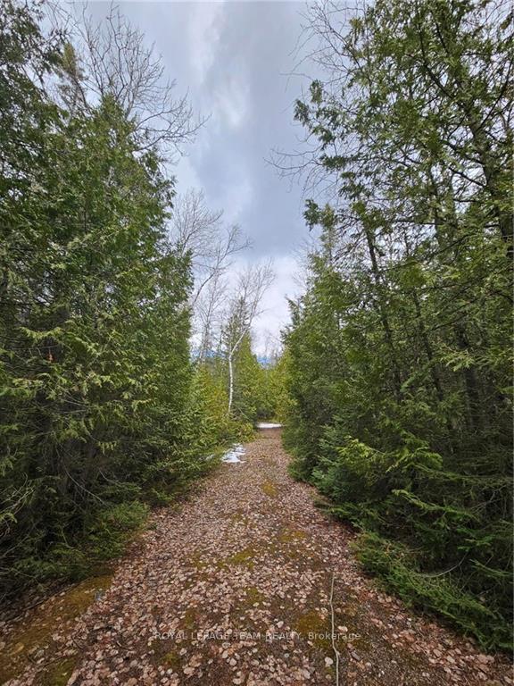 Photo 5 of 485114 Clear Lake Road, Timiskaming, TIM - Outside - Rural — HOMEH