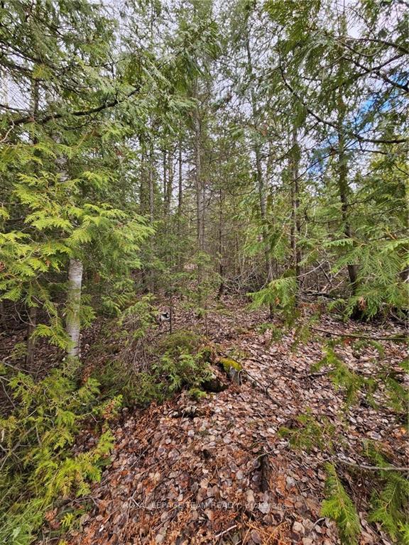 Photo 6 of 485114 Clear Lake Road, Timiskaming, TIM - Outside - Rural — HOMEH