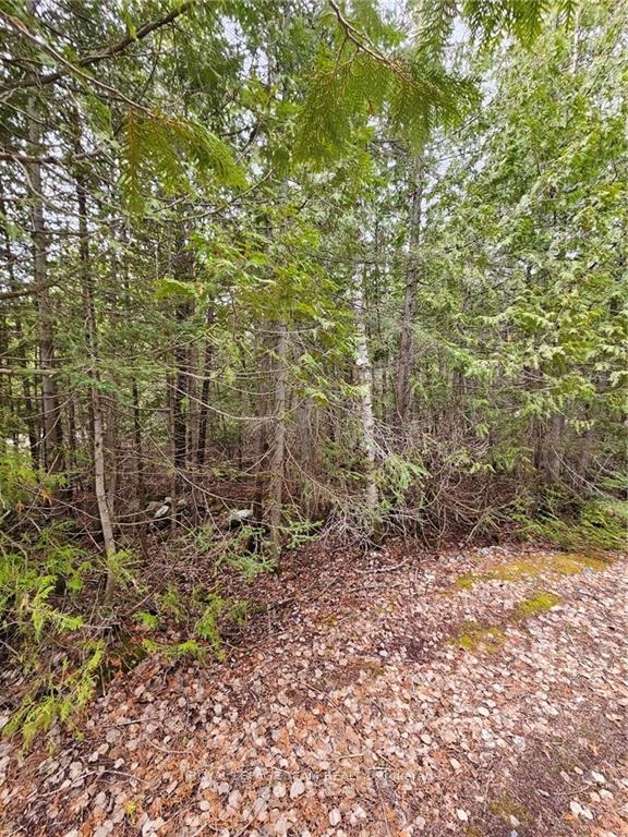Photo 7 of 485114 Clear Lake Road, Timiskaming, TIM - Outside - Rural — HOMEH