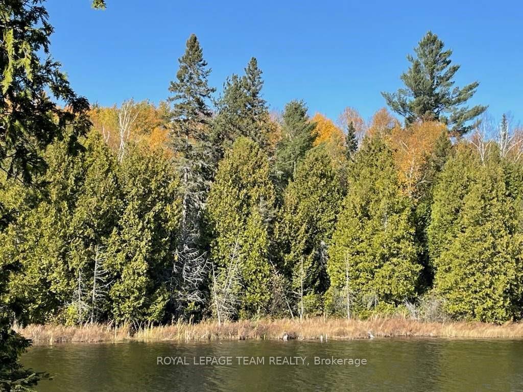 Photo 12 of 485114 Clear Lake Road, Timiskaming, TIM - Outside - Rural — HOMEH