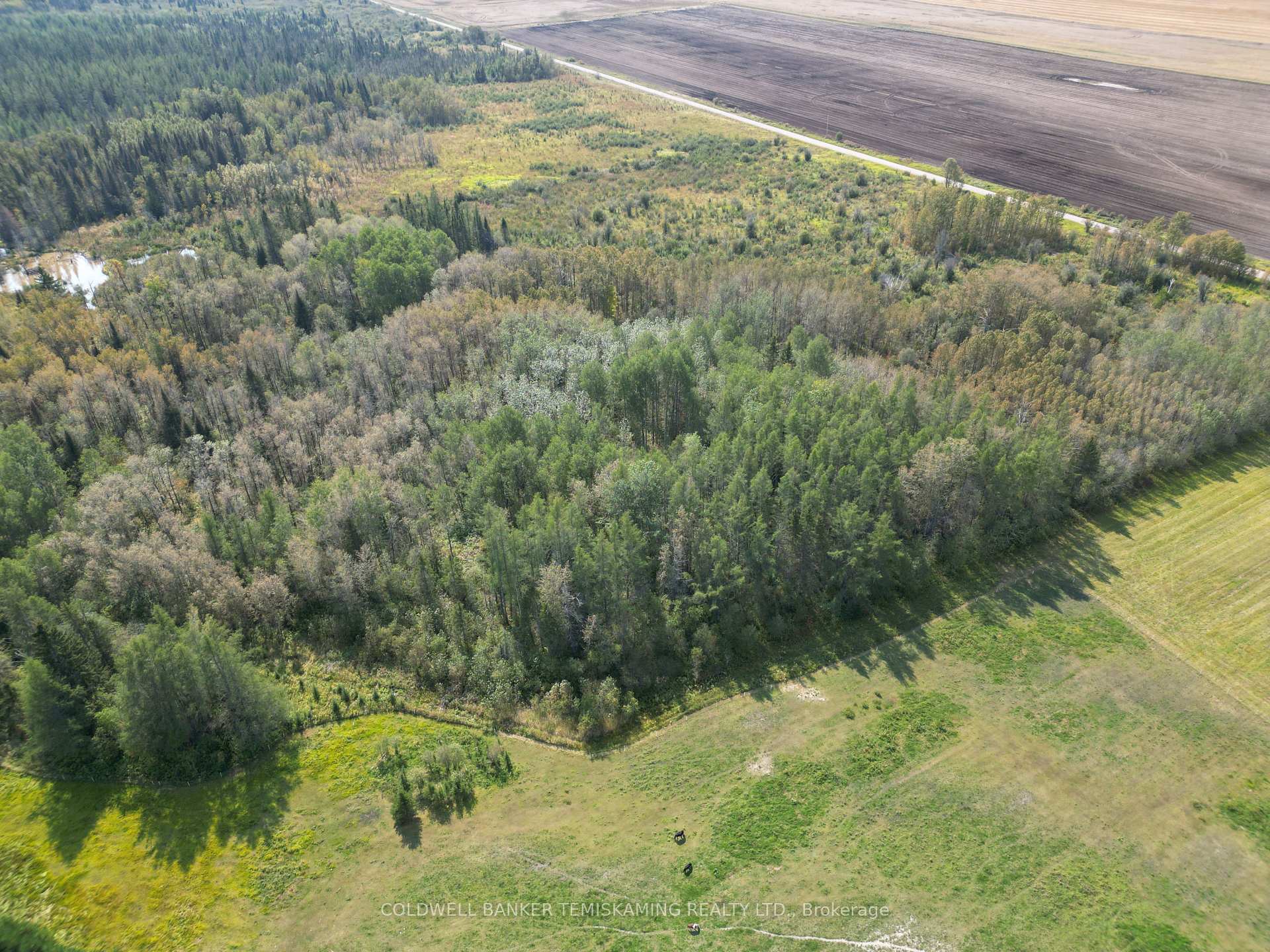 Photo 41 of 284124 Elliott Road, Timiskaming, TIM - Outside - Rural — HOMEH