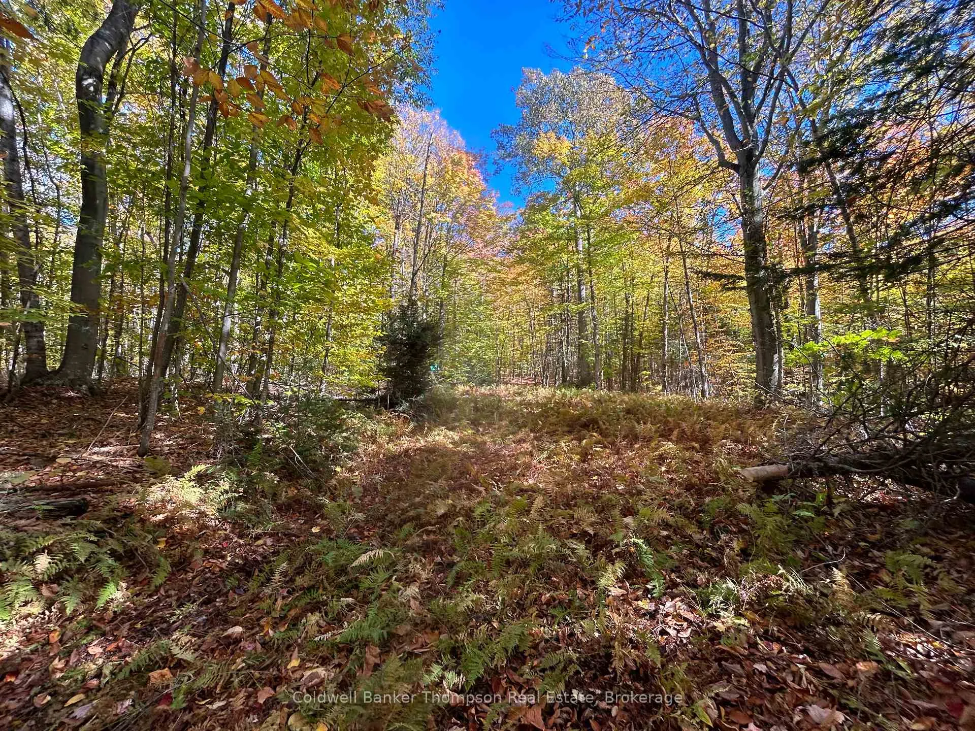 Photo 3 of 833 Hamilton Lake Road, Machar — HOMEH