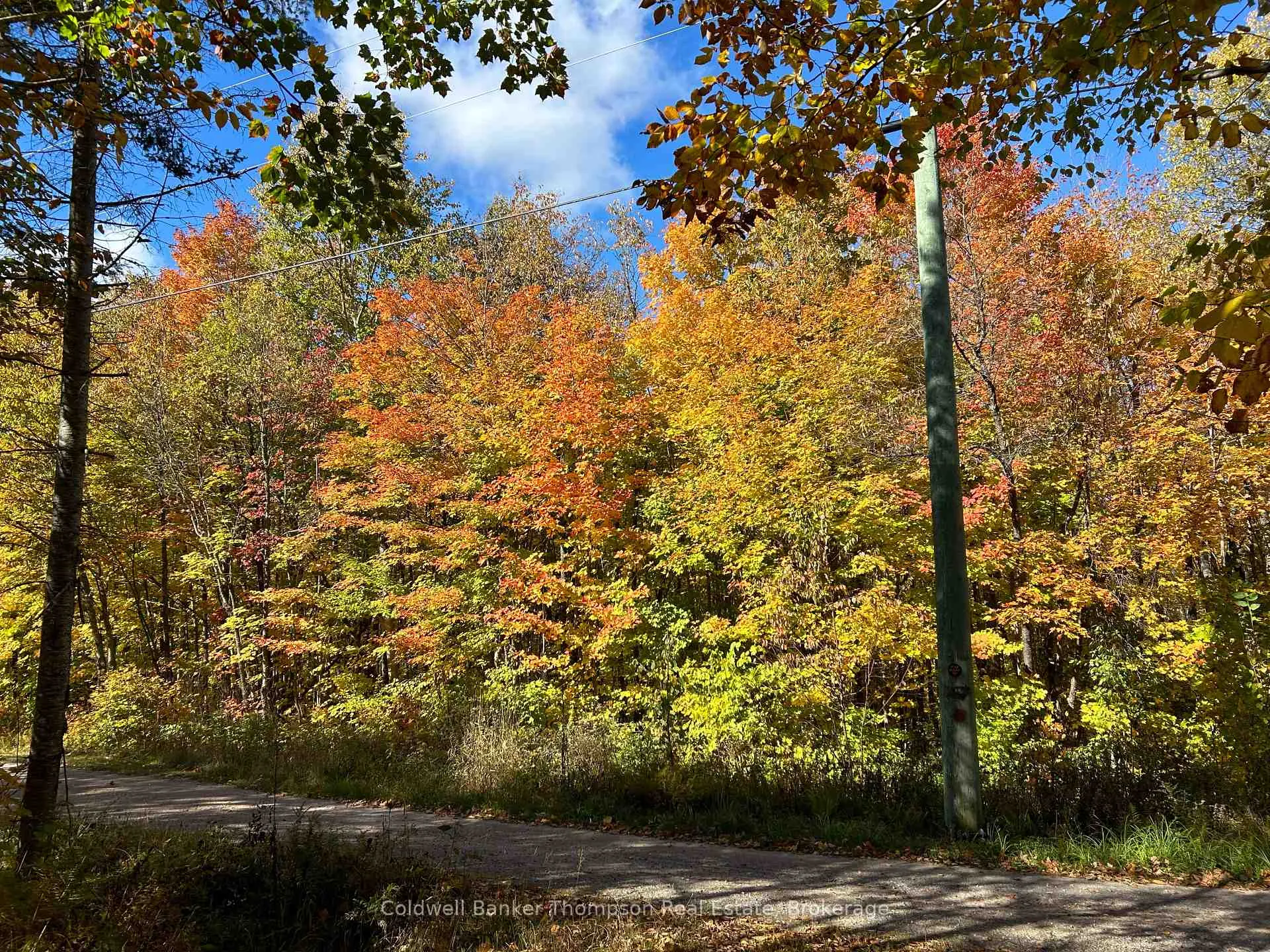 Photo of 833 Hamilton Lake Road
