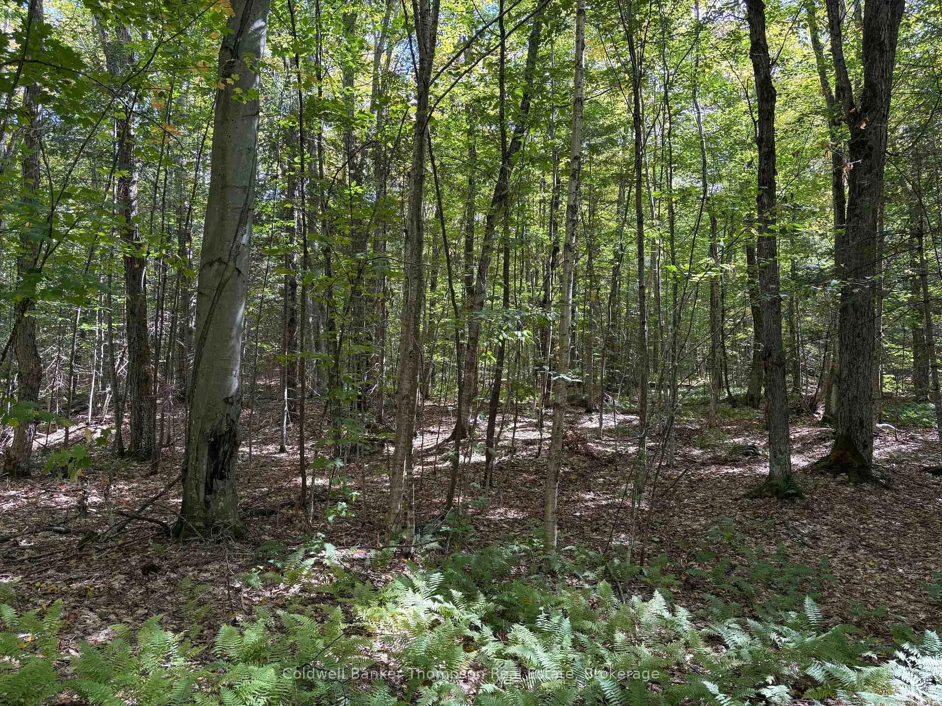 Photo 4 of 833 Hamilton Lake Road, Machar — HOMEH
