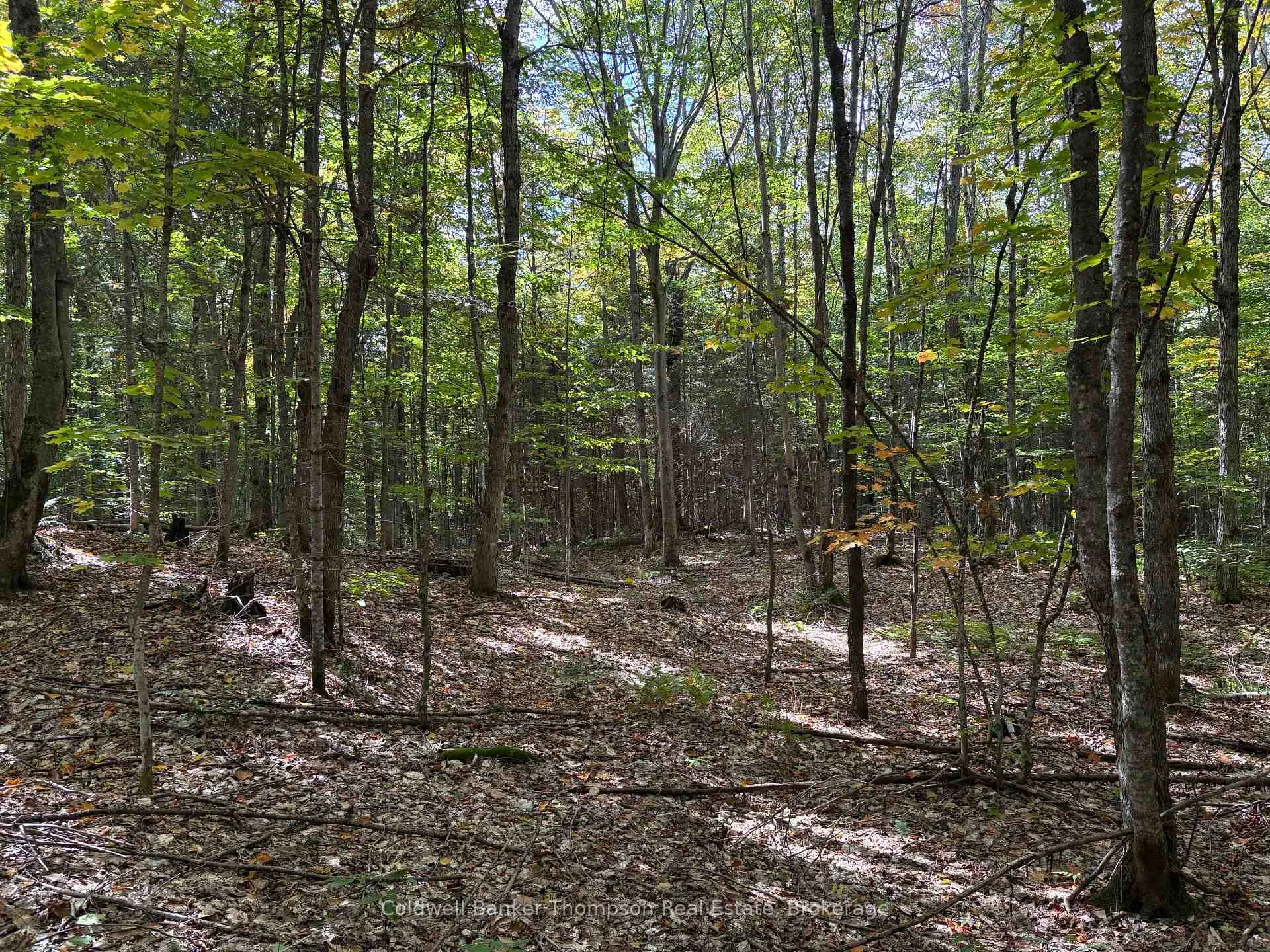 Photo 5 of 833 Hamilton Lake Road, Machar — HOMEH