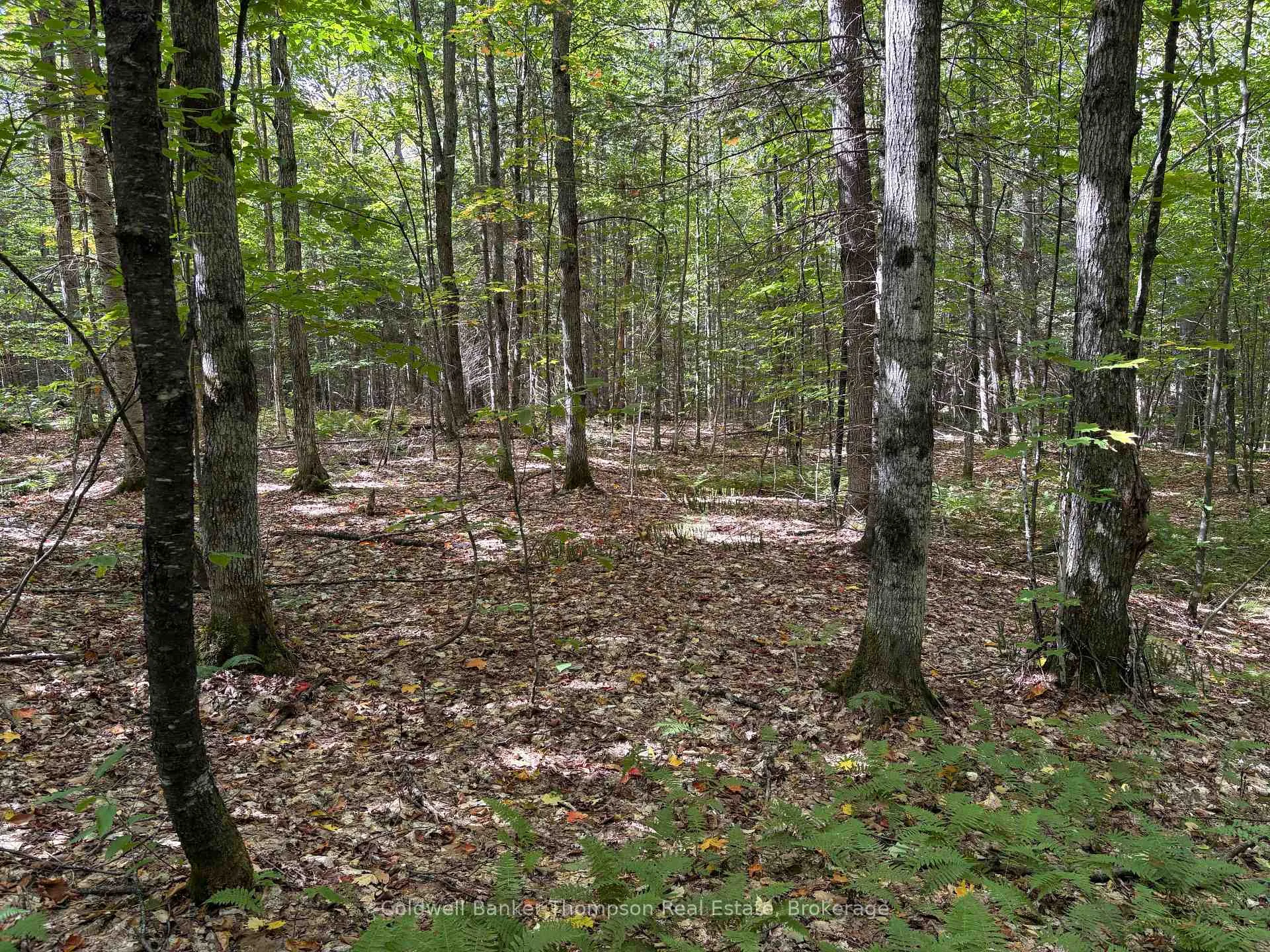 Photo 6 of 833 Hamilton Lake Road, Machar — HOMEH
