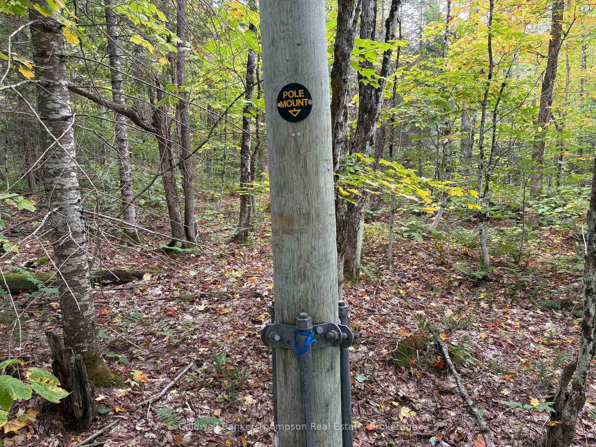 Photo 11 of 833 Hamilton Lake Road, Machar — HOMEH