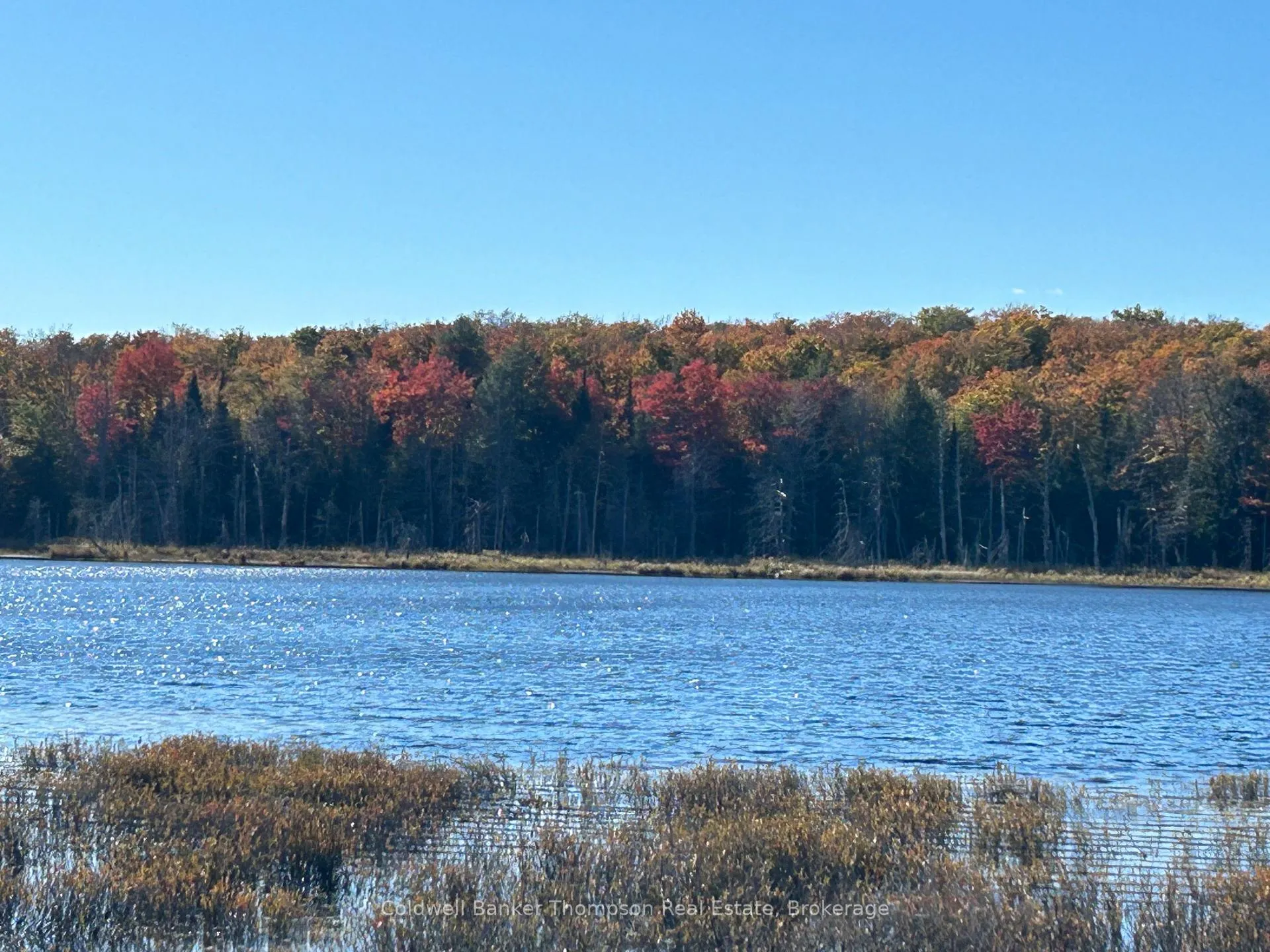 Photo 12 of 833 Hamilton Lake Road, Machar — HOMEH