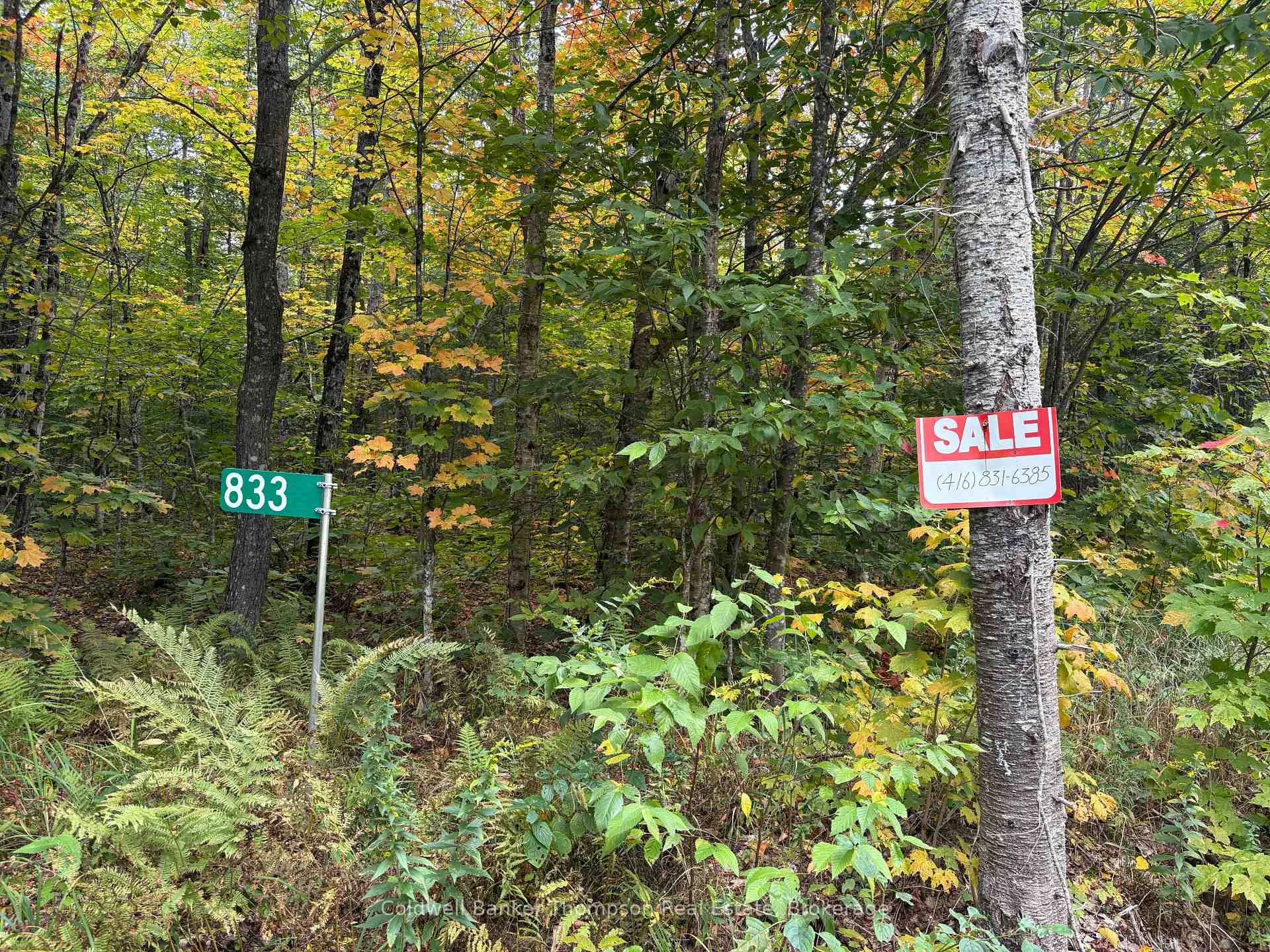 Photo 7 of 833 Hamilton Lake Road, Machar — HOMEH
