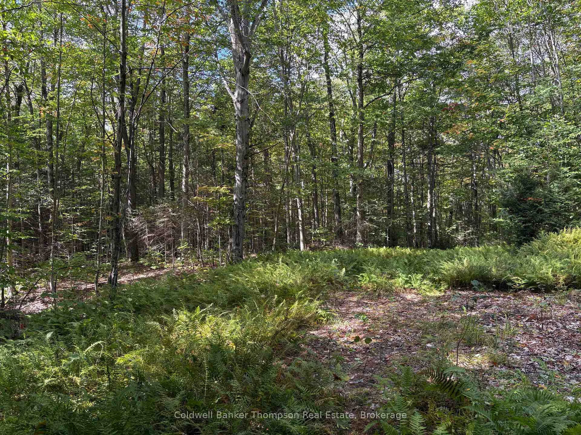 Photo 9 of 833 Hamilton Lake Road, Machar — HOMEH