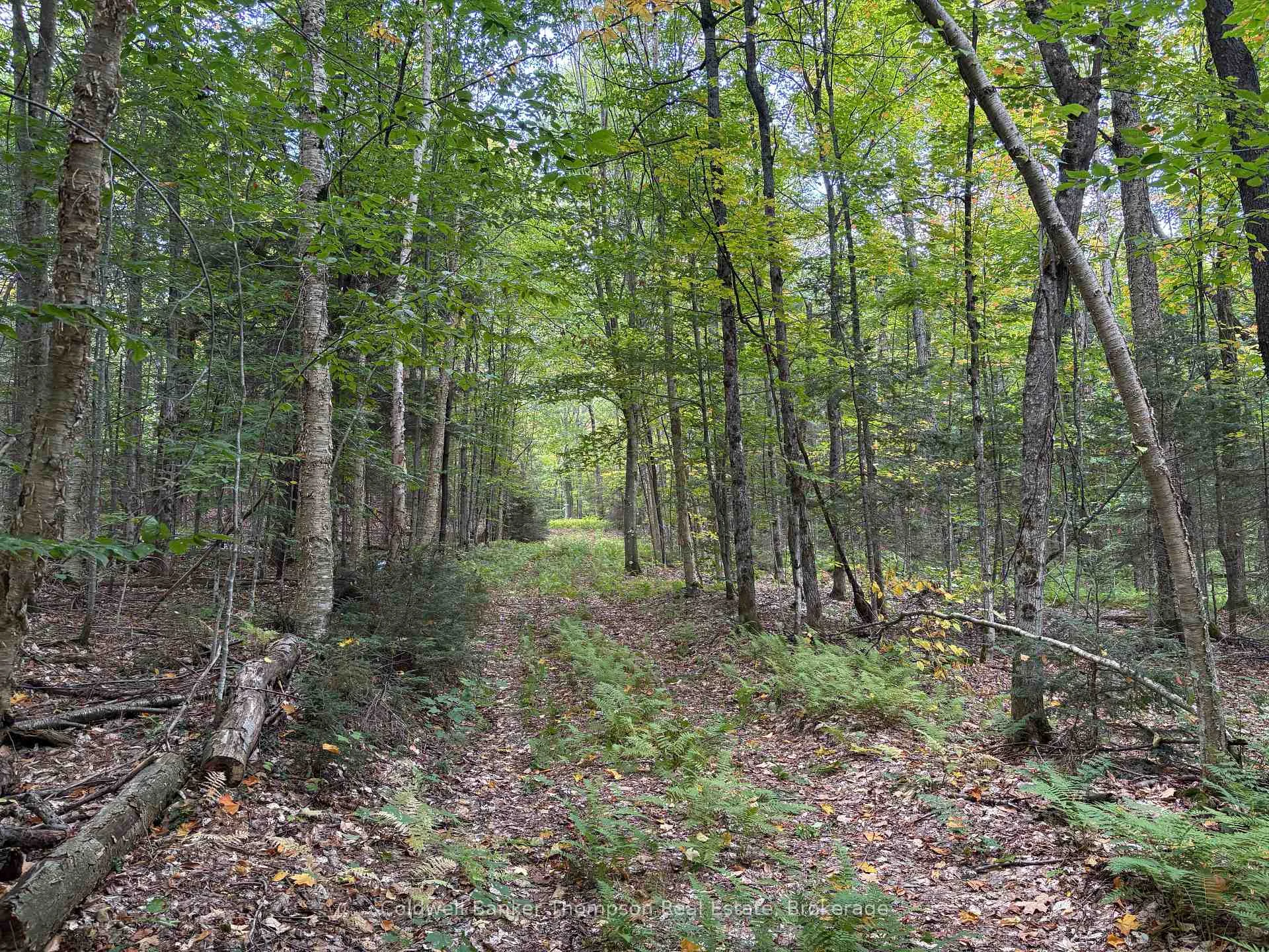 Photo 10 of 833 Hamilton Lake Road, Machar — HOMEH