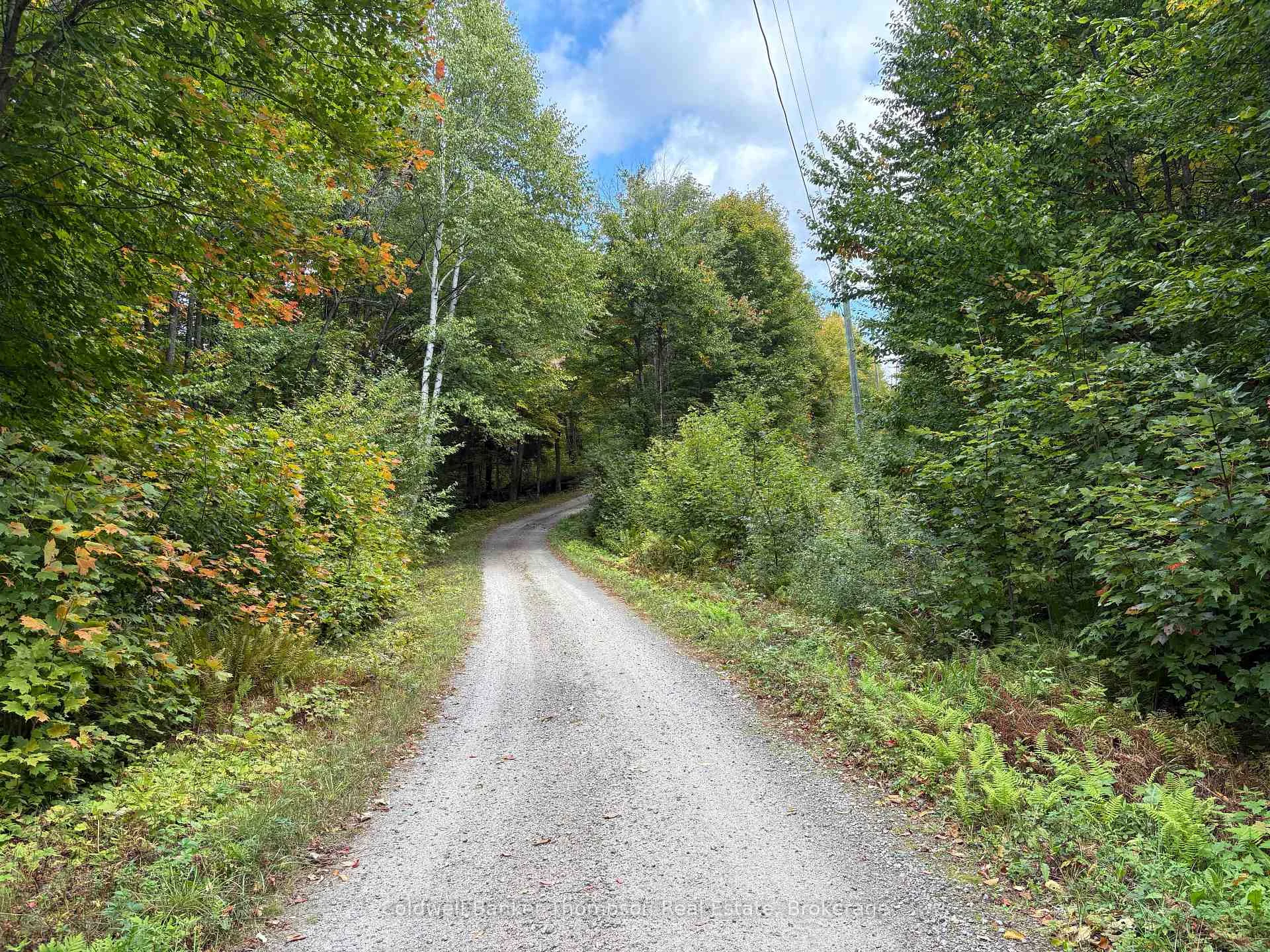 Photo 17 of 833 Hamilton Lake Road, Machar — HOMEH
