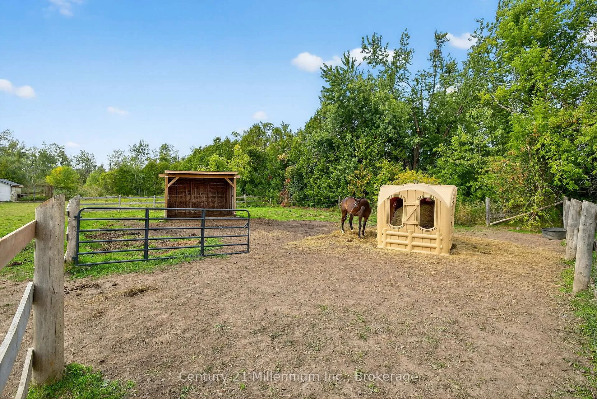 Photo 41 of 28650 Hwy 12, Brock, Beaverton — HOMEH
