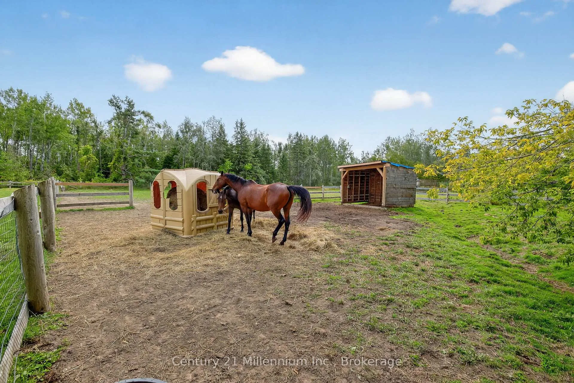 Photo 42 of 28650 Hwy 12, Brock, Beaverton — HOMEH