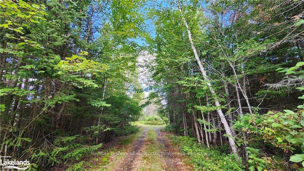 Photo 15 of 36 Crescent Road, Strong — HOMEH