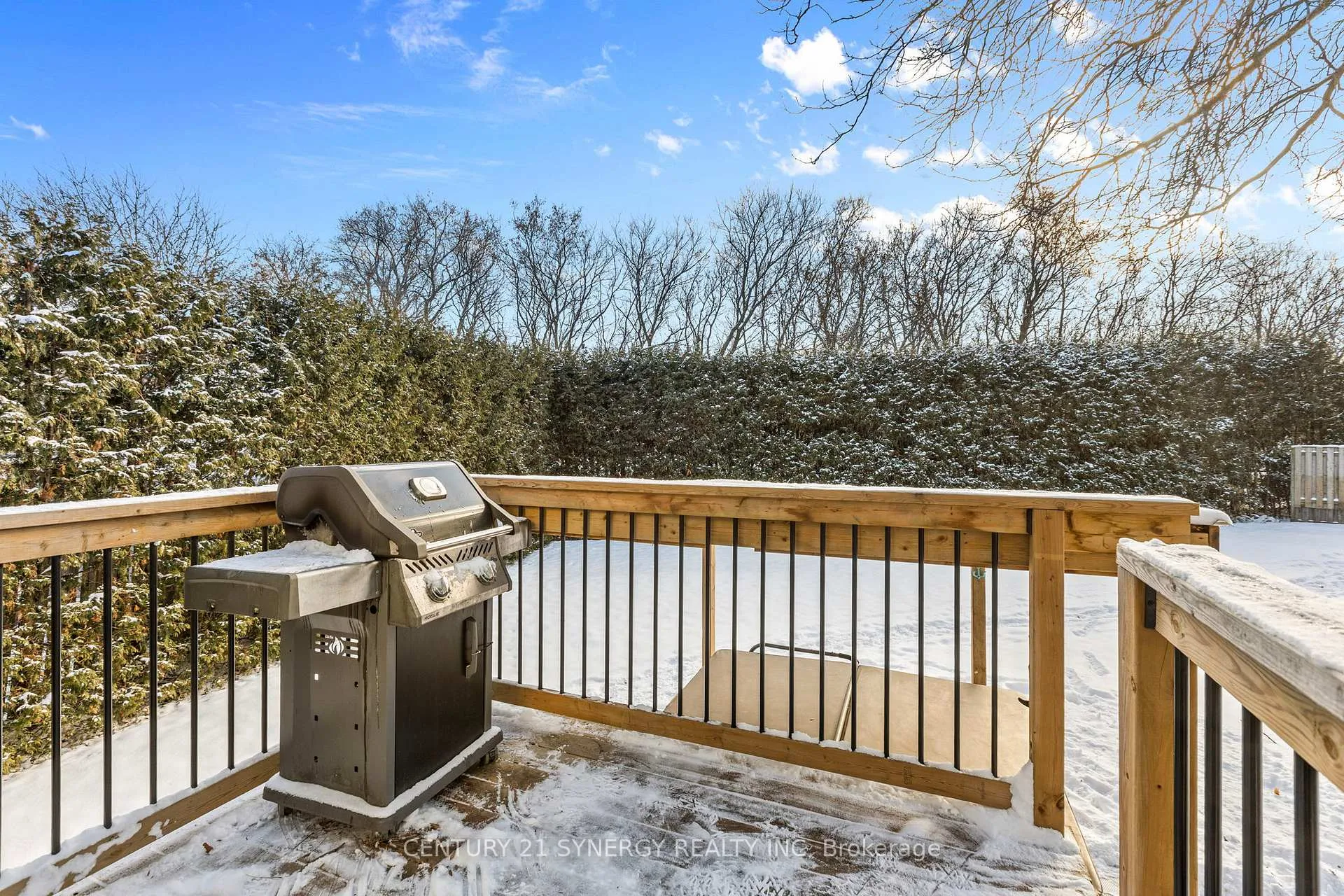Photo 36 of 34 Rosegarden Crescent, Ottawa, Hunt Club Park/Greenboro — HOMEH