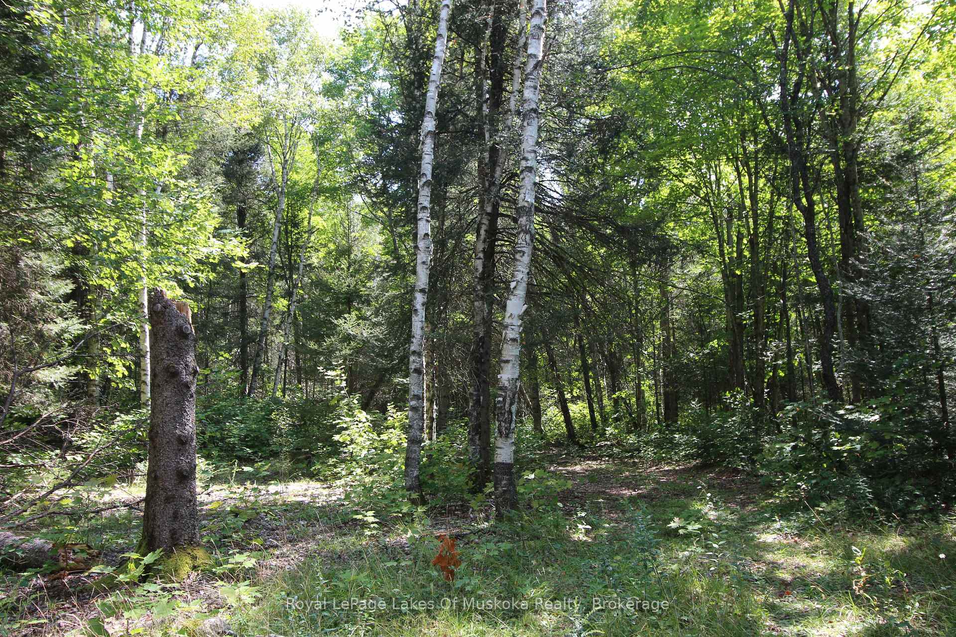 Photo 14 of 555 Valley View Road, Strong — HOMEH