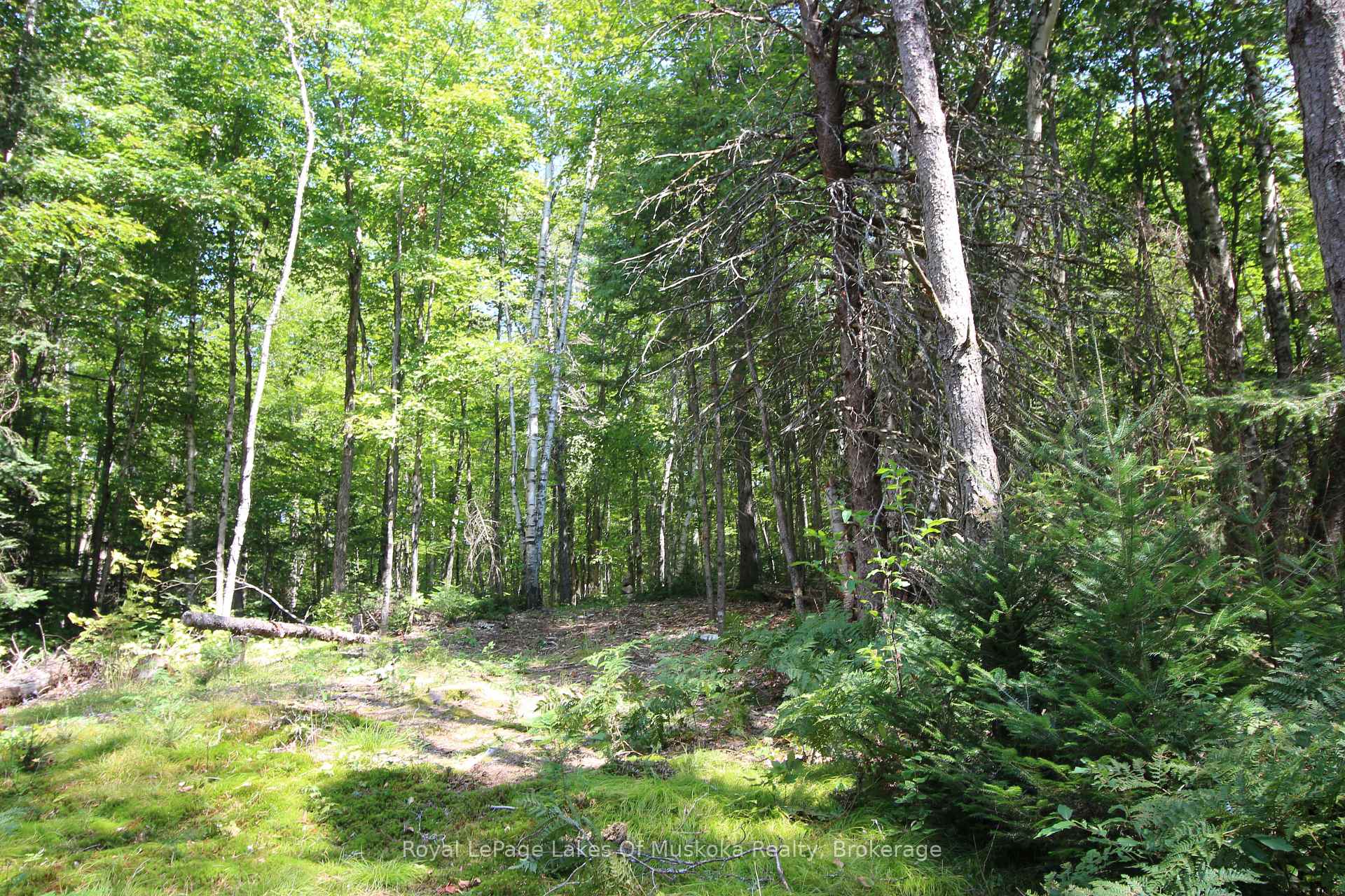 Photo 20 of 555 Valley View Road, Strong — HOMEH