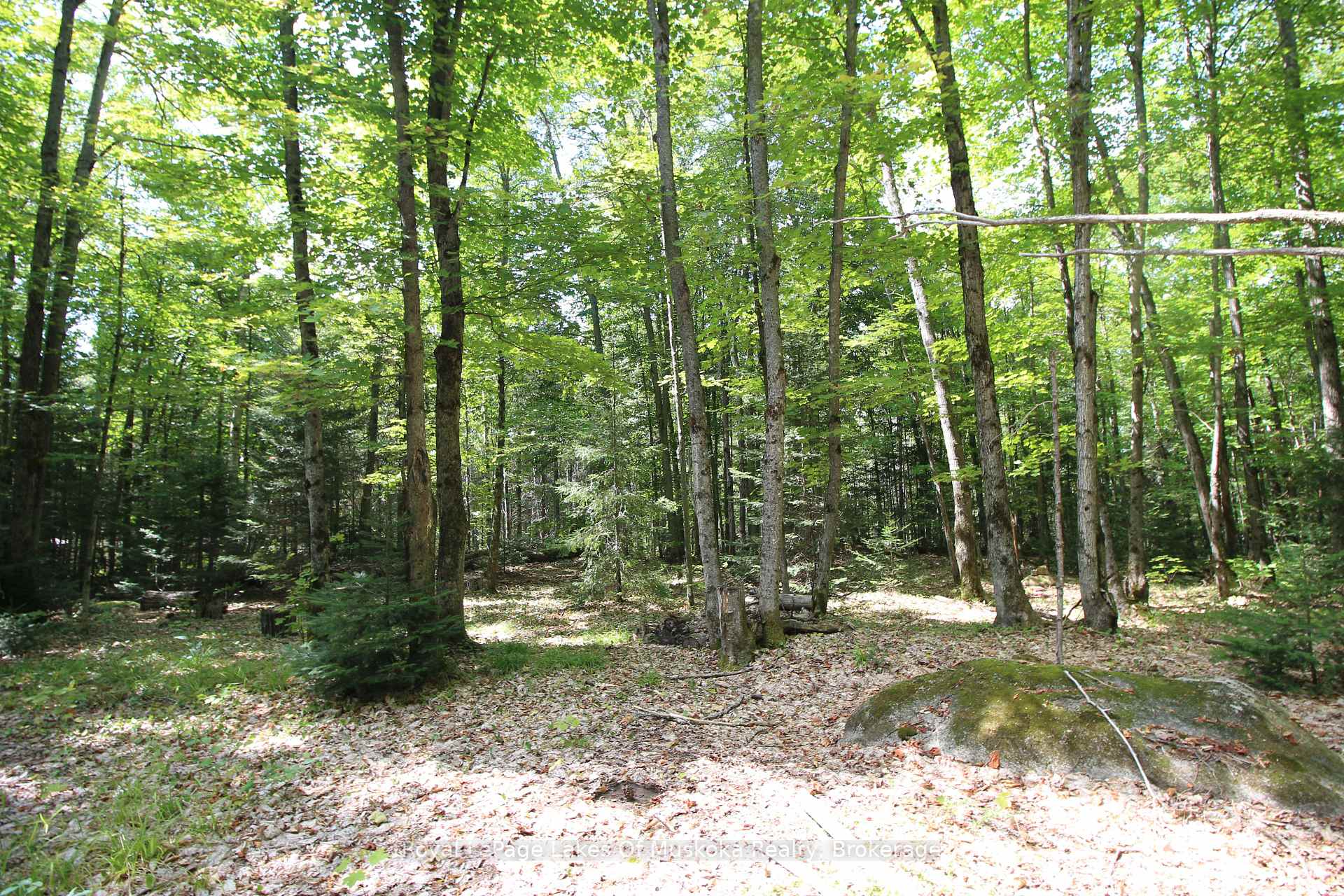 Photo 23 of 555 Valley View Road, Strong — HOMEH