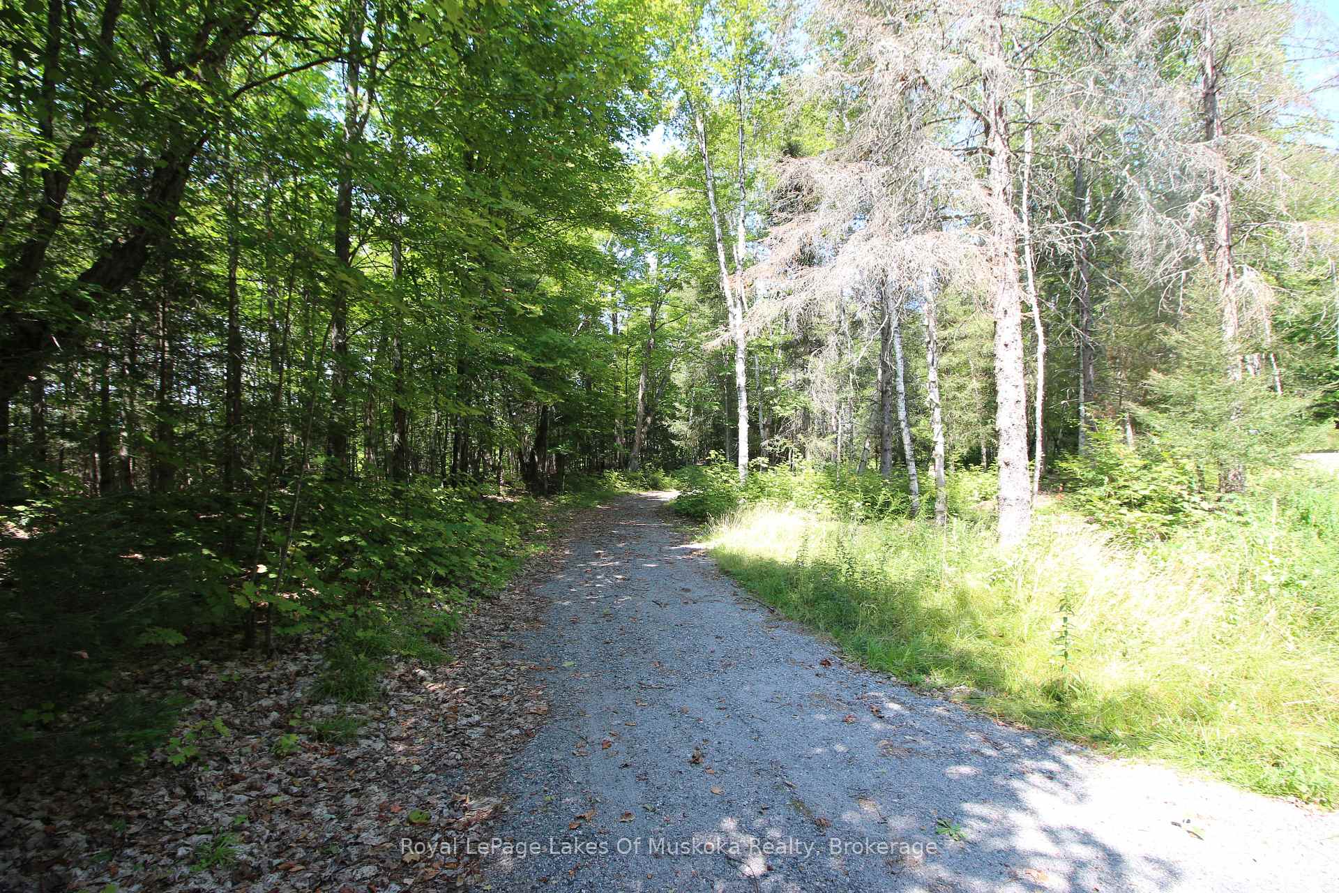 Photo 37 of 555 Valley View Road, Strong — HOMEH