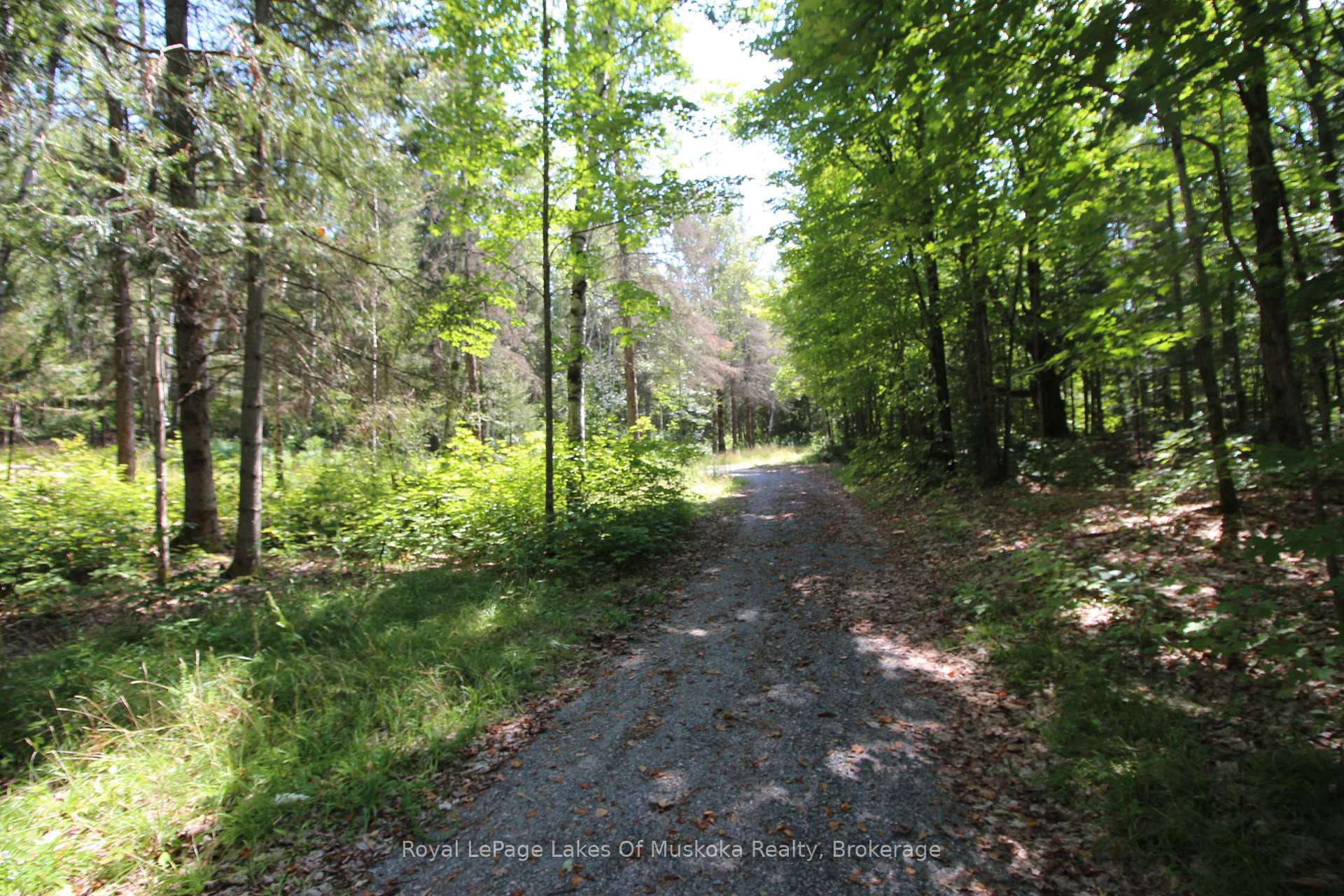 Photo 39 of 555 Valley View Road, Strong — HOMEH