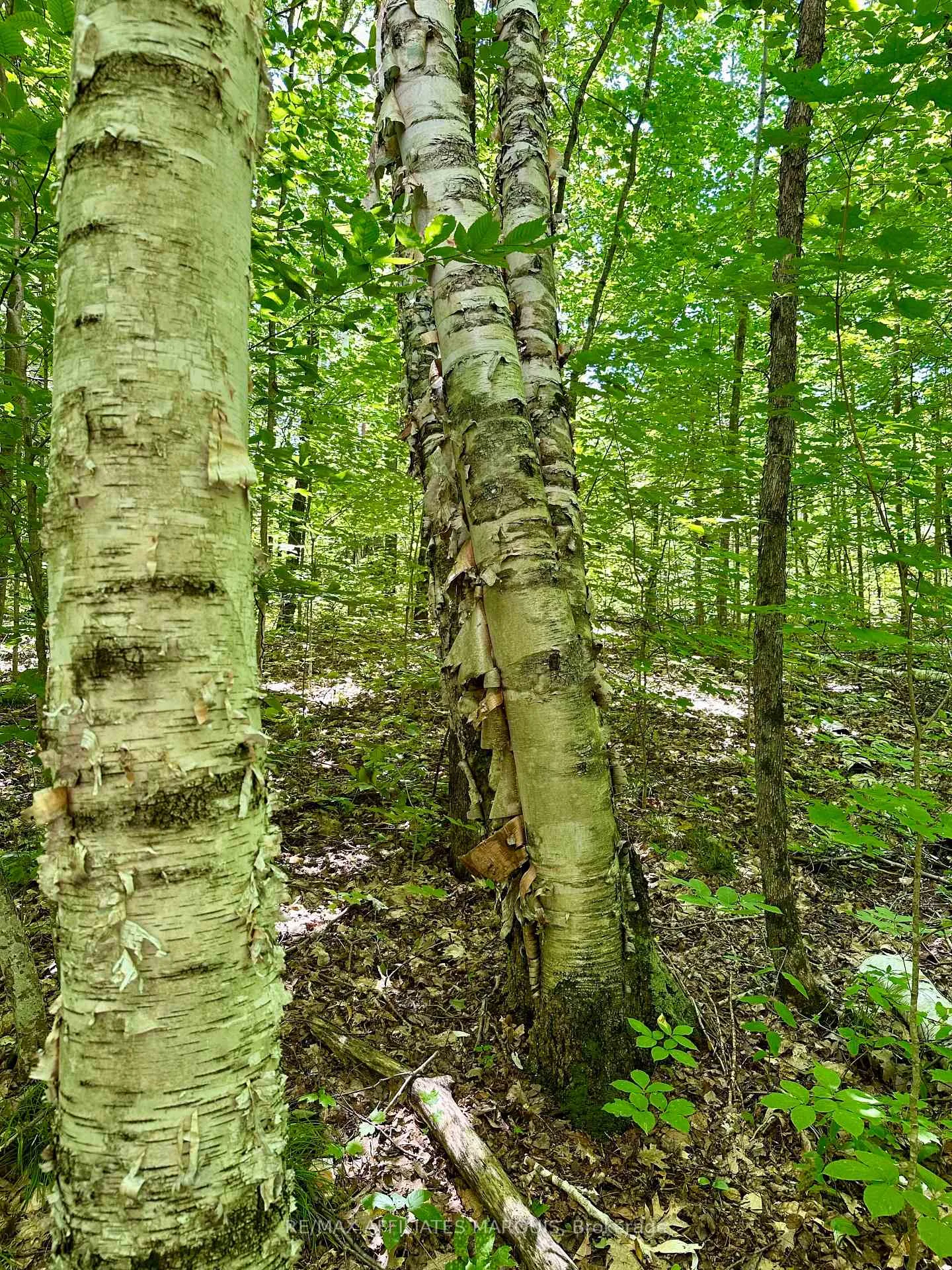 Photo 3 of 000 Kirk Kove Road, Frontenac, Frontenac Centre — HOMEH