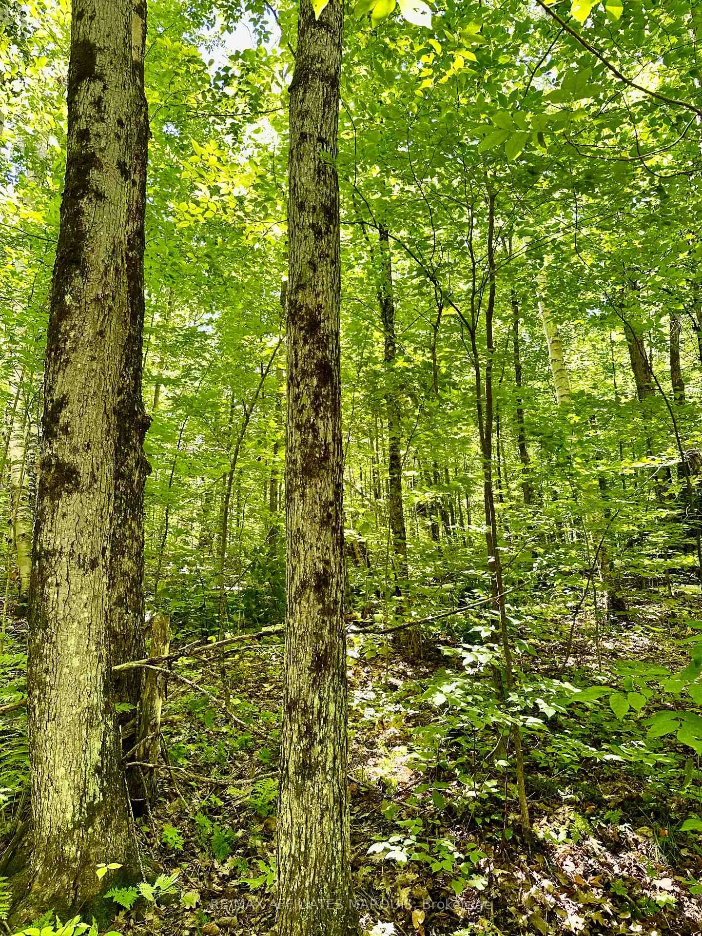 Photo 4 of 000 Kirk Kove Road, Frontenac, Frontenac Centre — HOMEH