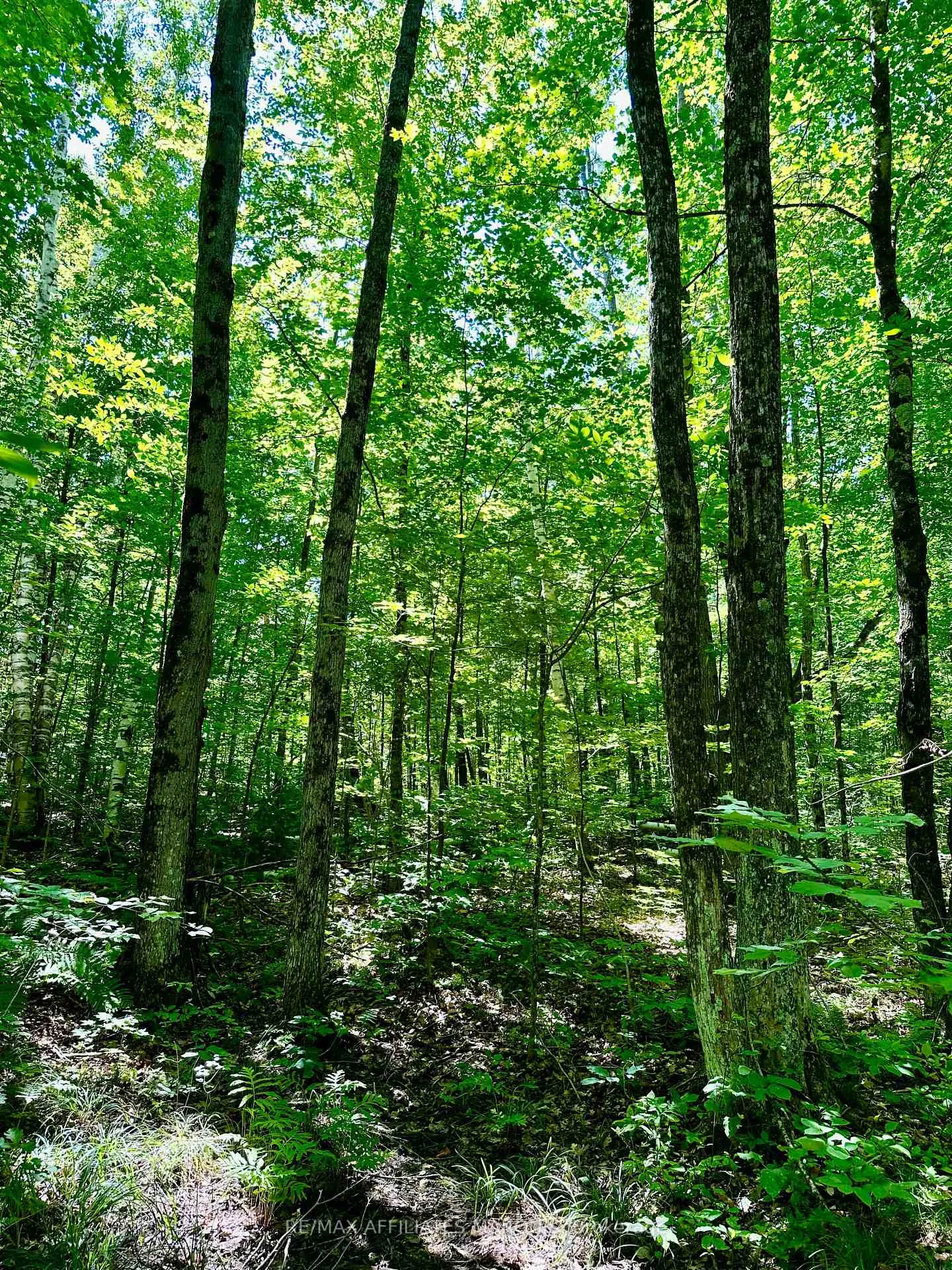 Photo 5 of 000 Kirk Kove Road, Frontenac, Frontenac Centre — HOMEH