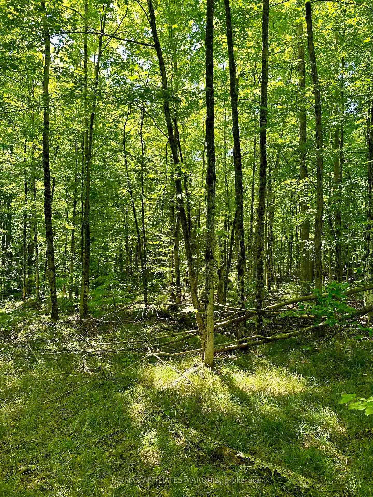 Photo 6 of 000 Kirk Kove Road, Frontenac, Frontenac Centre — HOMEH