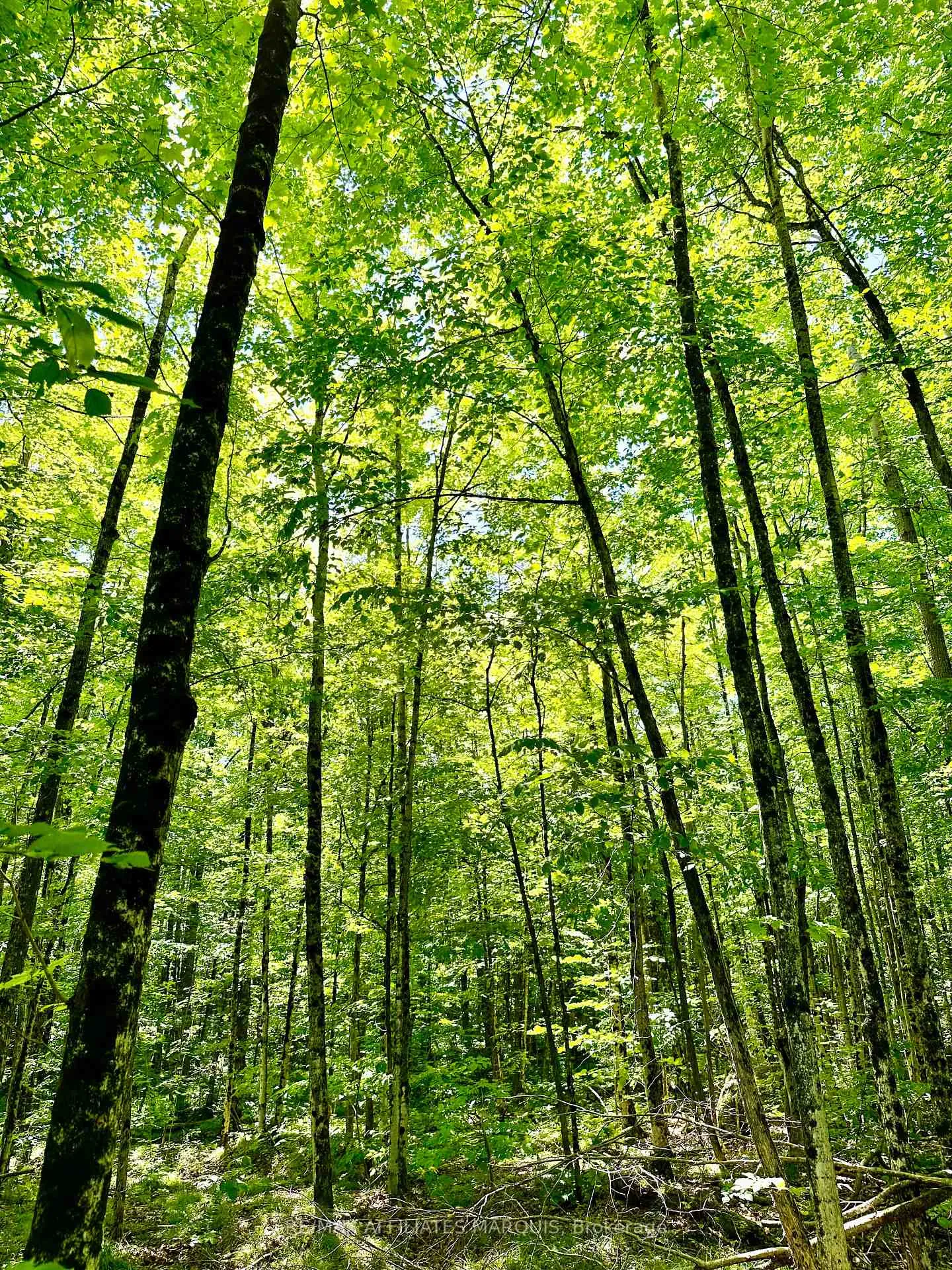 Photo 7 of 000 Kirk Kove Road, Frontenac, Frontenac Centre — HOMEH