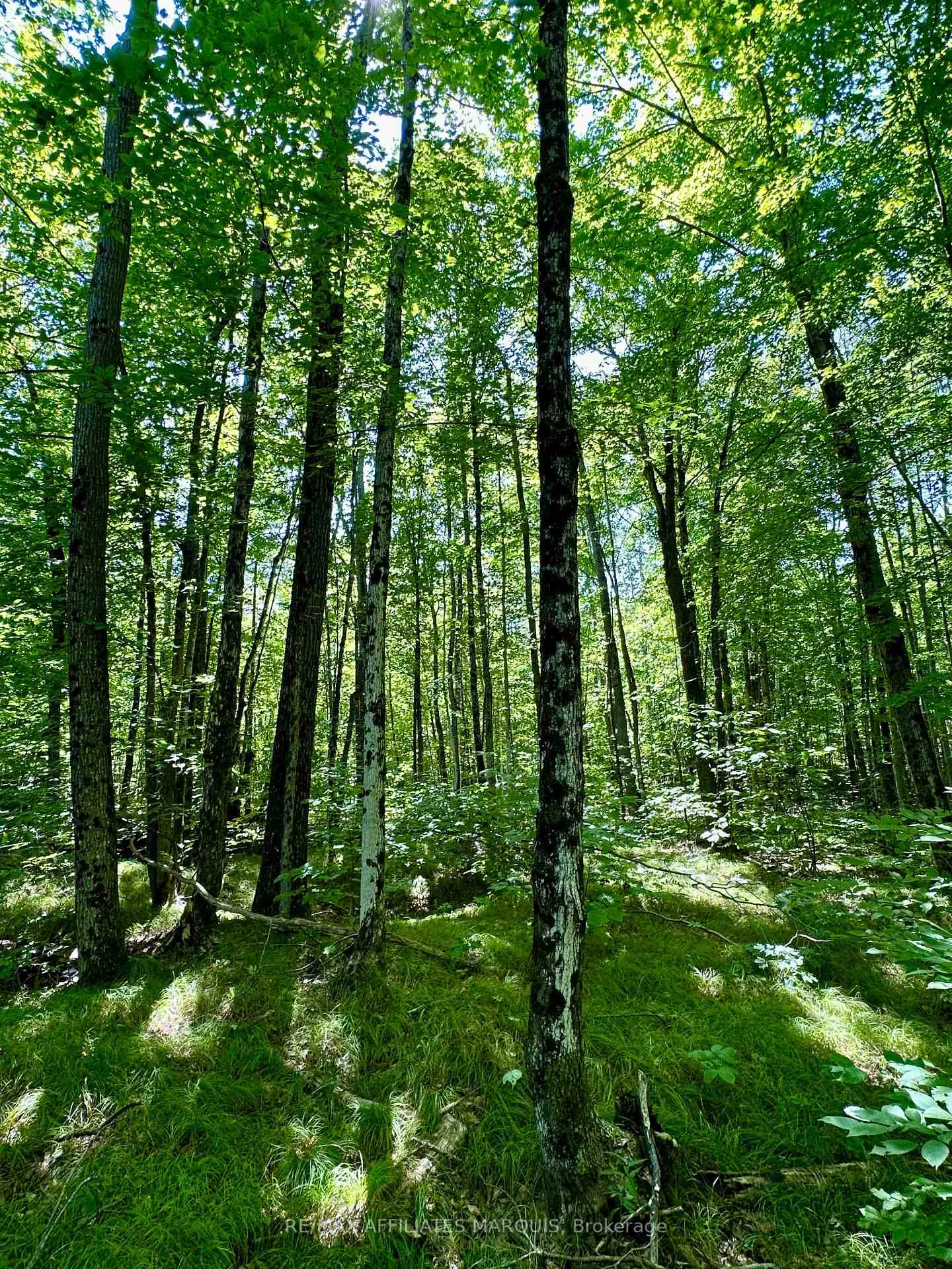Photo 8 of 000 Kirk Kove Road, Frontenac, Frontenac Centre — HOMEH