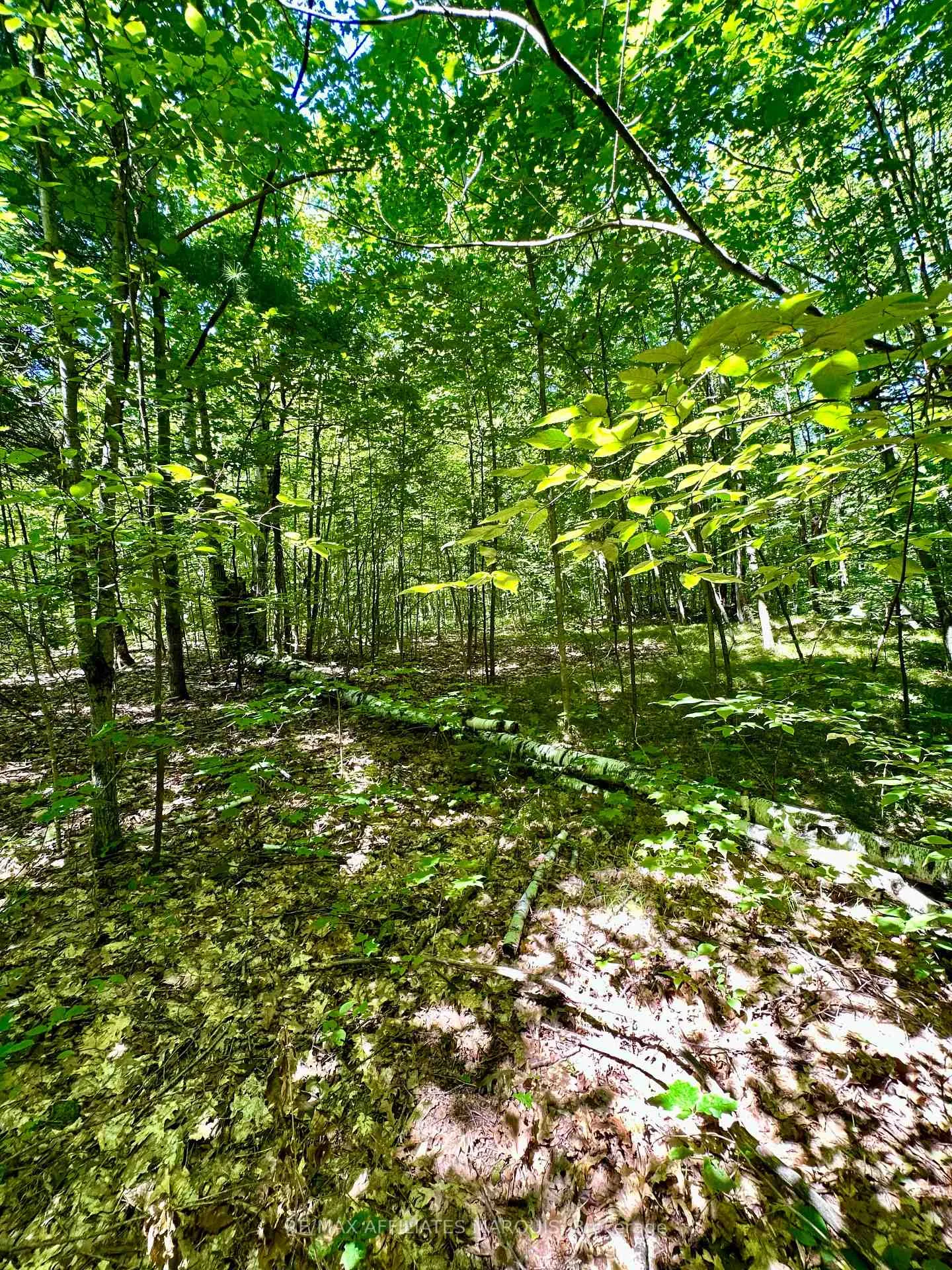 Photo 12 of 000 Kirk Kove Road, Frontenac, Frontenac Centre — HOMEH