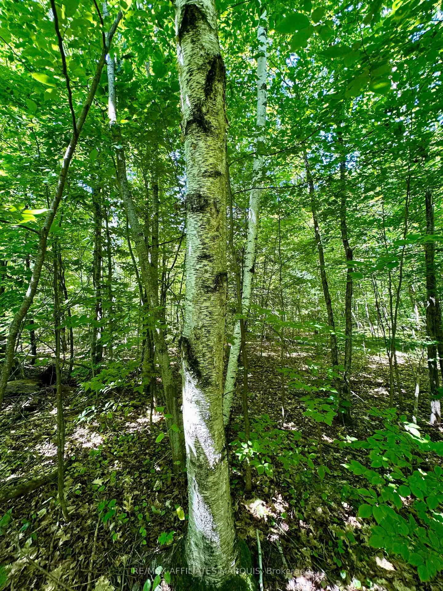 Photo 13 of 000 Kirk Kove Road, Frontenac, Frontenac Centre — HOMEH