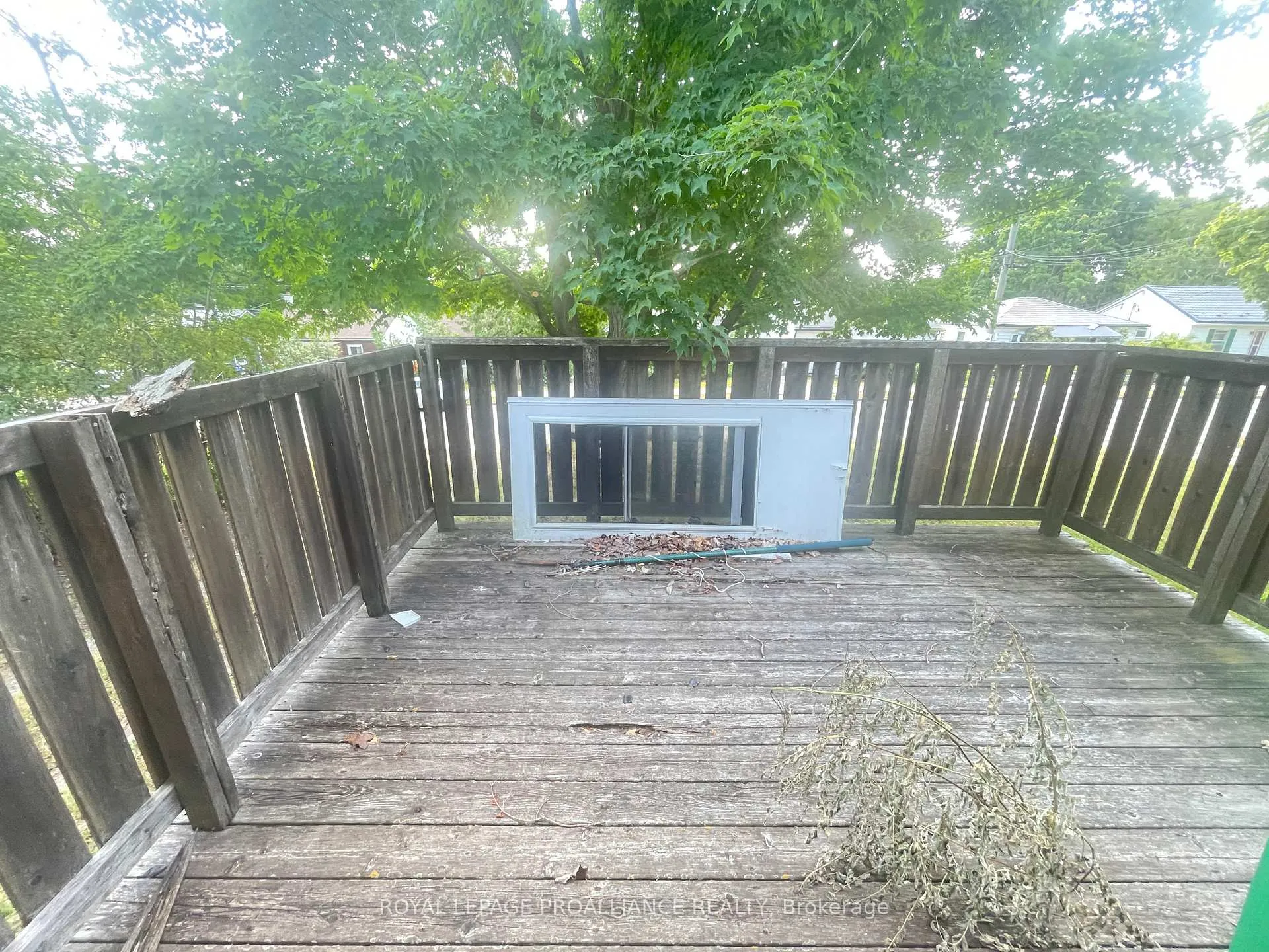 Photo 6 of 440 Bellevue Street, Peterborough, Northcrest Ward 5 — HOMEH