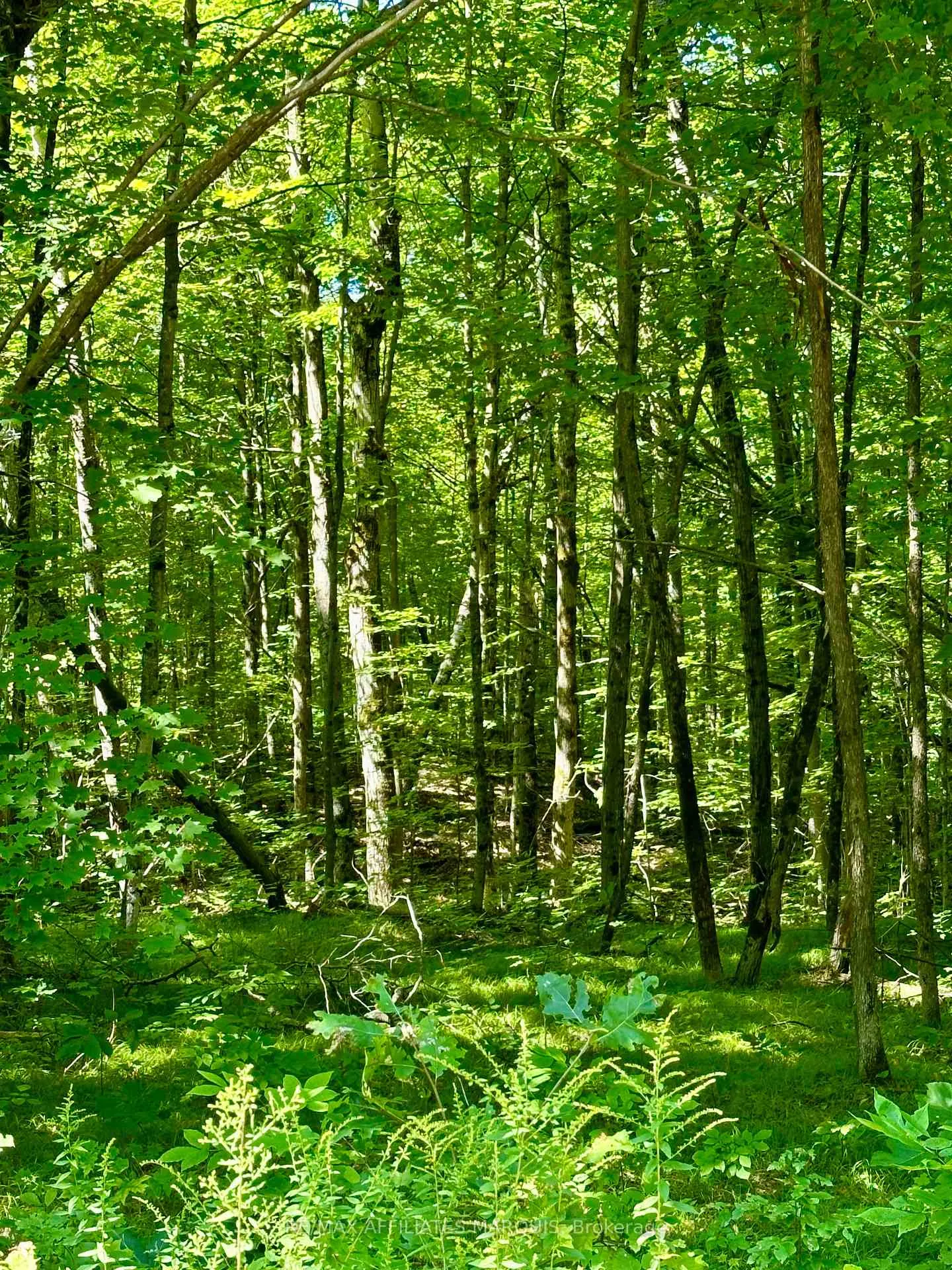 Photo 7 of 00 Kirk Kove Road, Frontenac, Frontenac Centre — HOMEH