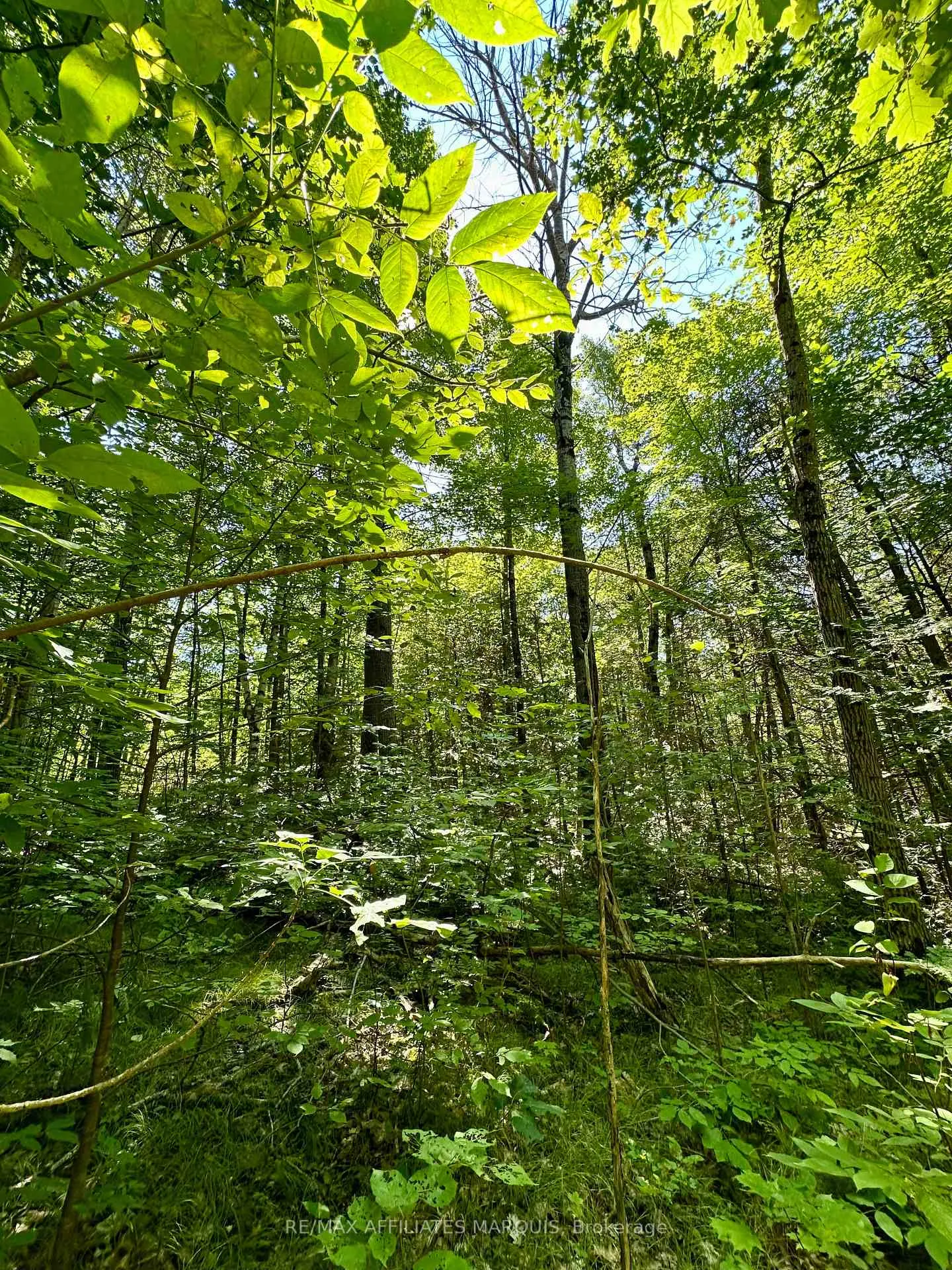 Photo 8 of 00 Kirk Kove Road, Frontenac, Frontenac Centre — HOMEH