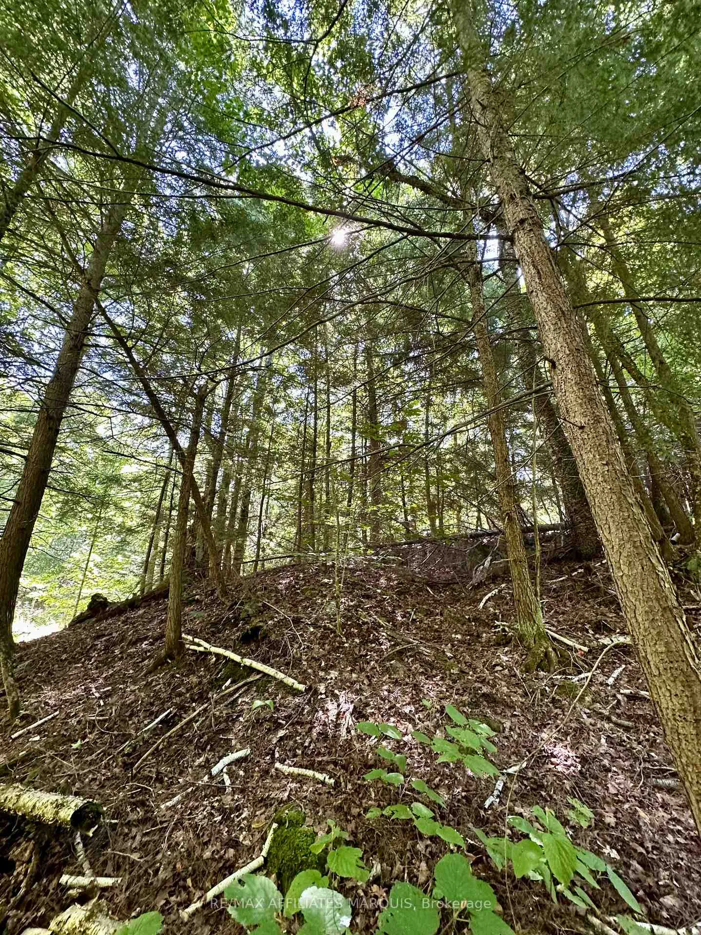 Photo 9 of 00 Kirk Kove Road, Frontenac, Frontenac Centre — HOMEH