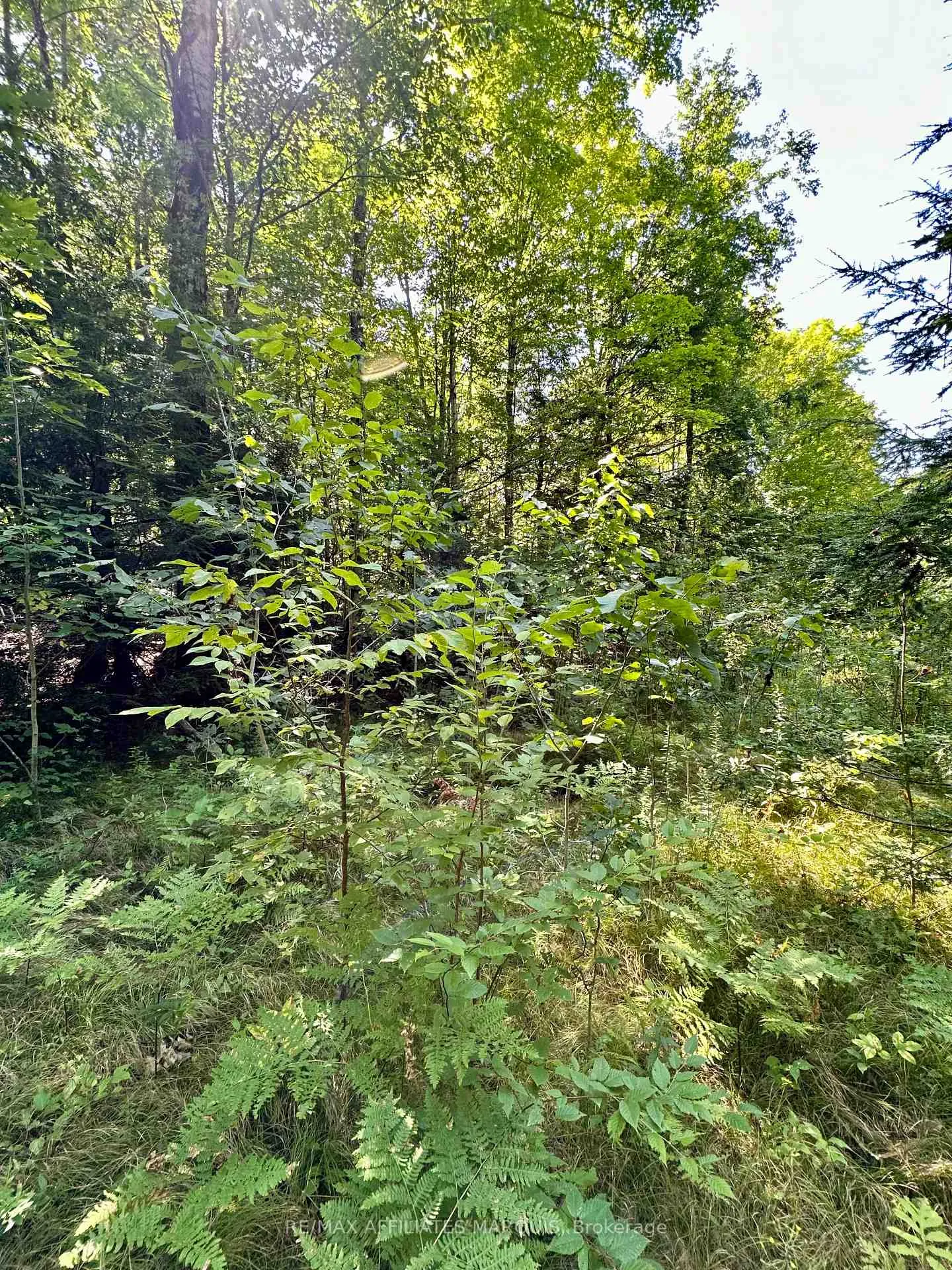 Photo 11 of 00 Kirk Kove Road, Frontenac, Frontenac Centre — HOMEH