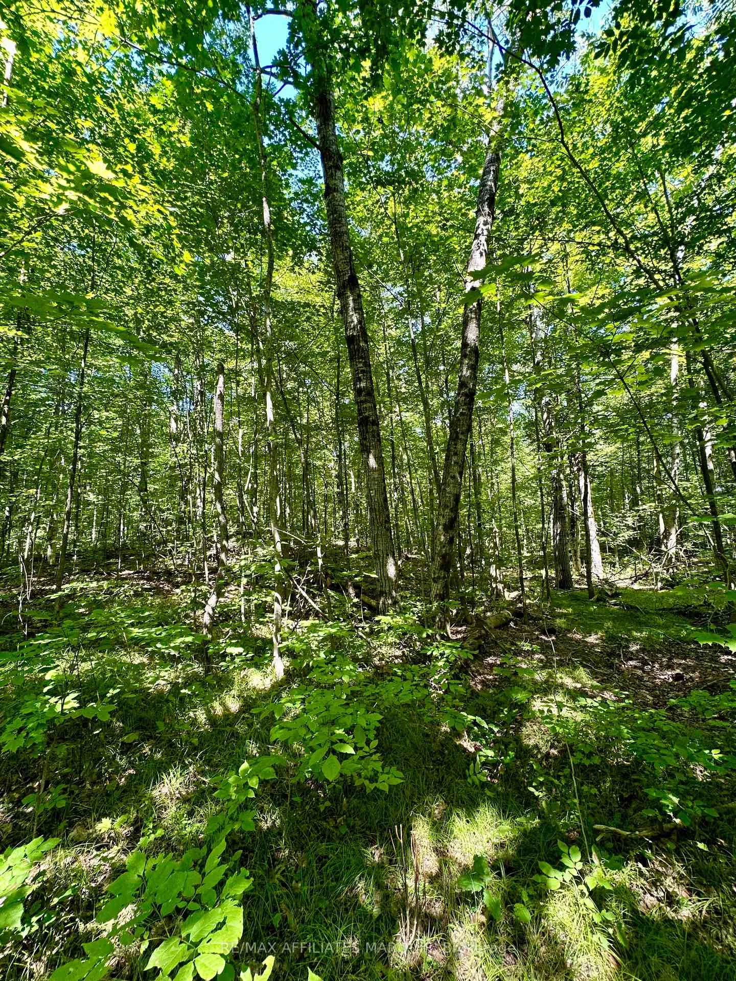 Photo 13 of 00 Kirk Kove Road, Frontenac, Frontenac Centre — HOMEH
