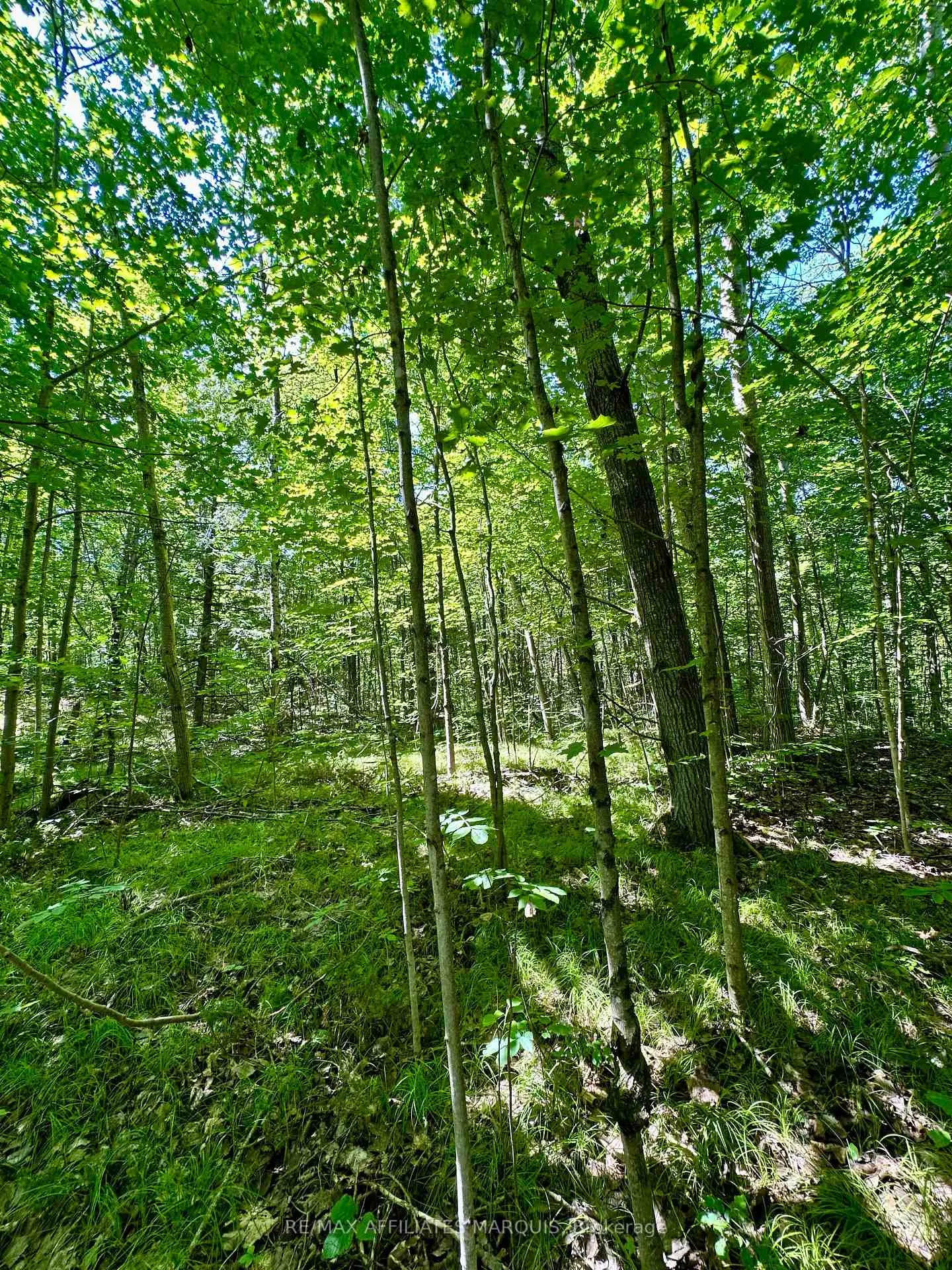 Photo 14 of 00 Kirk Kove Road, Frontenac, Frontenac Centre — HOMEH