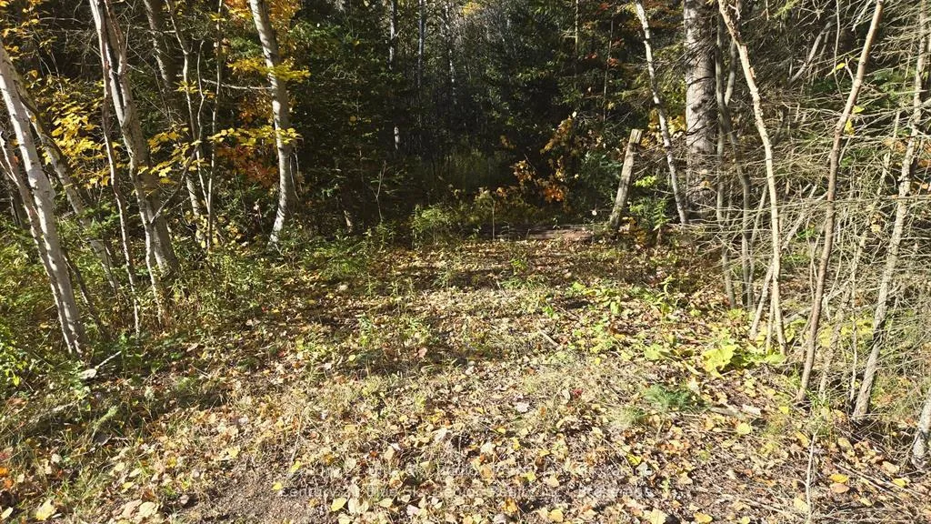 Photo 4 of PT LT 6 CON 11 Highway 654, Nipissing — HOMEH