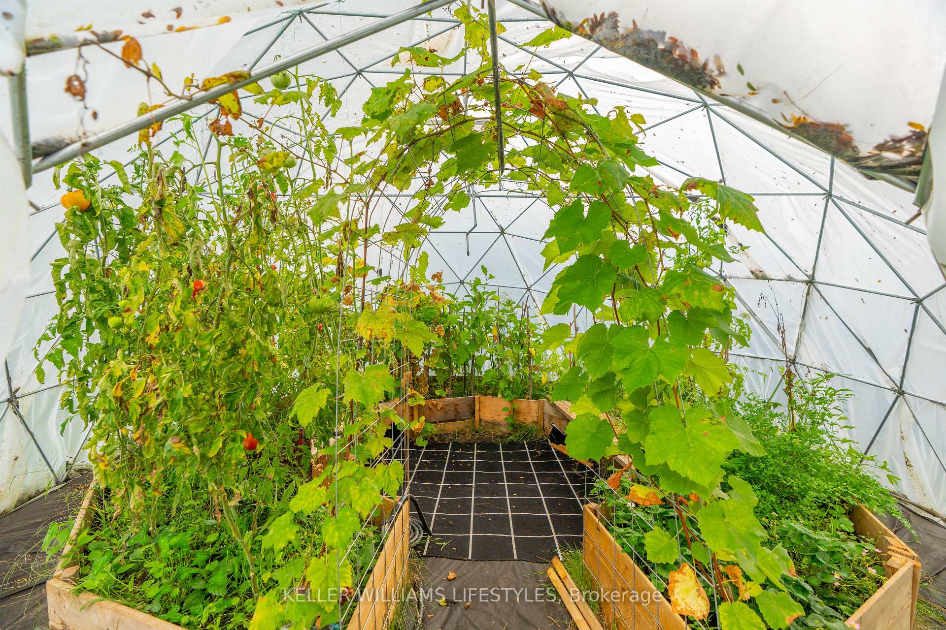 Photo 38 of 8749 Longwoods Road, Strathroy-Caradoc, Rural Strathroy-Caradoc — HOMEH